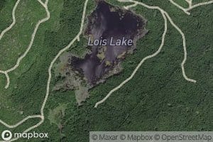 Lois Lake