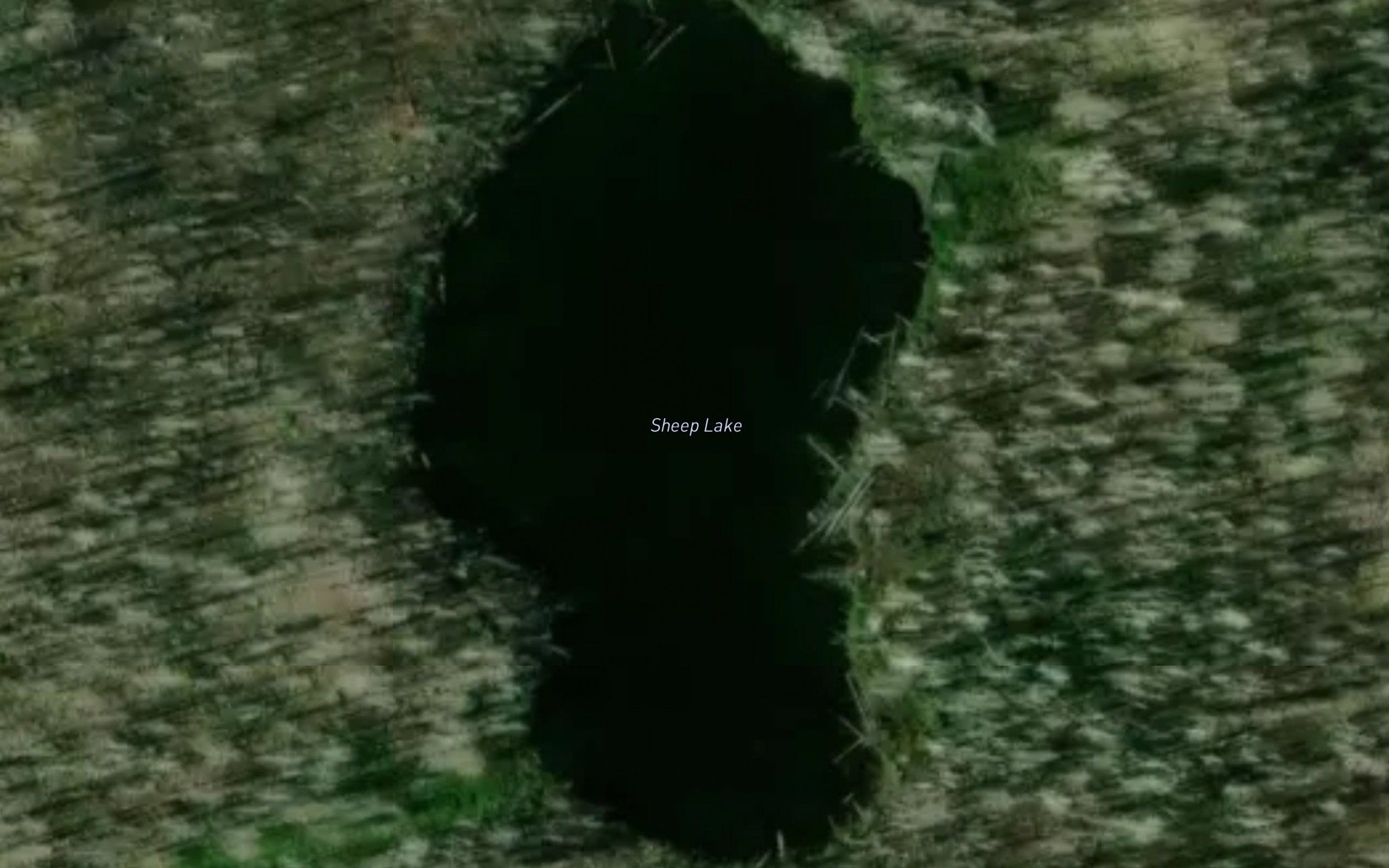 Sheep Lake