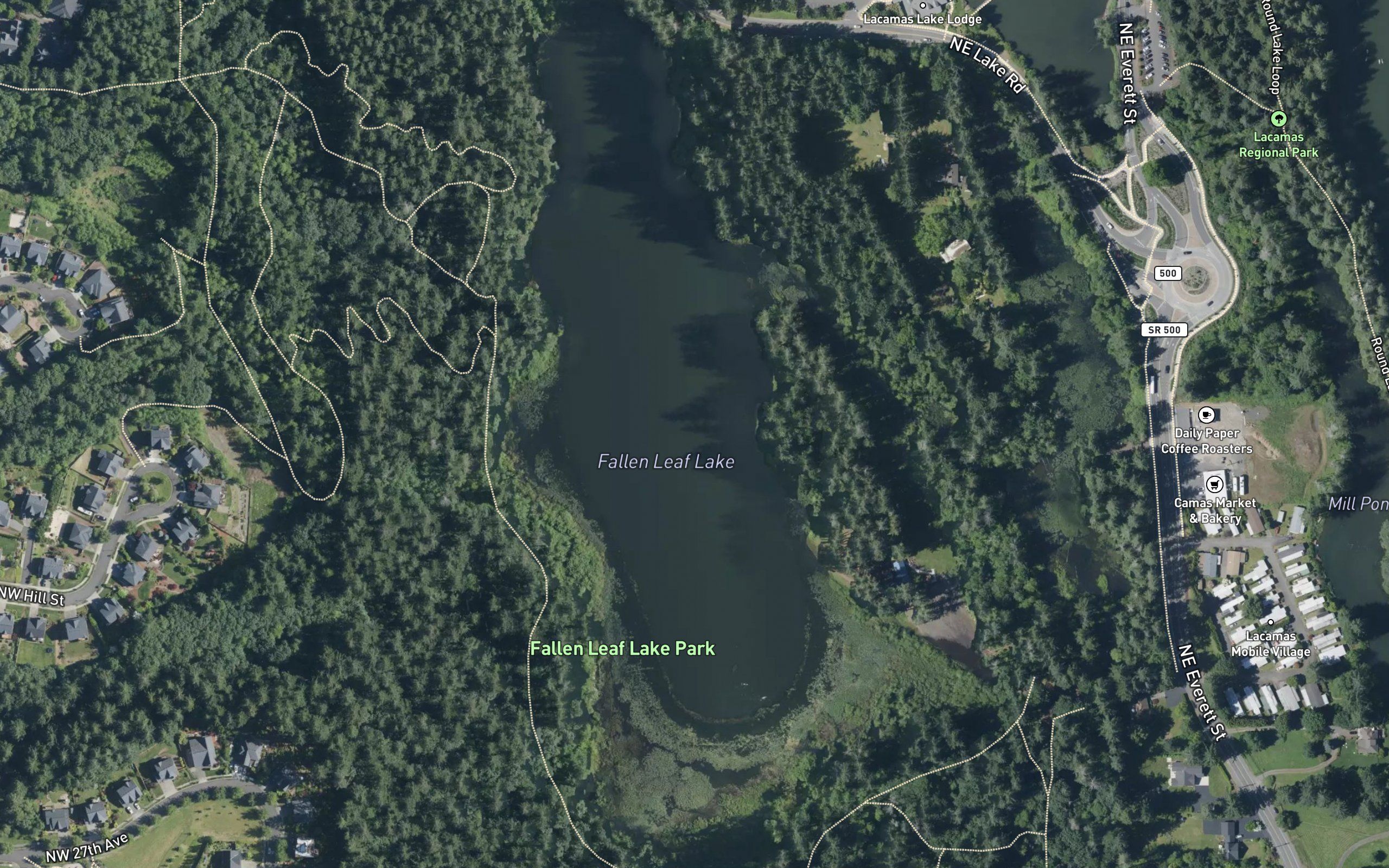 Dead Lake
