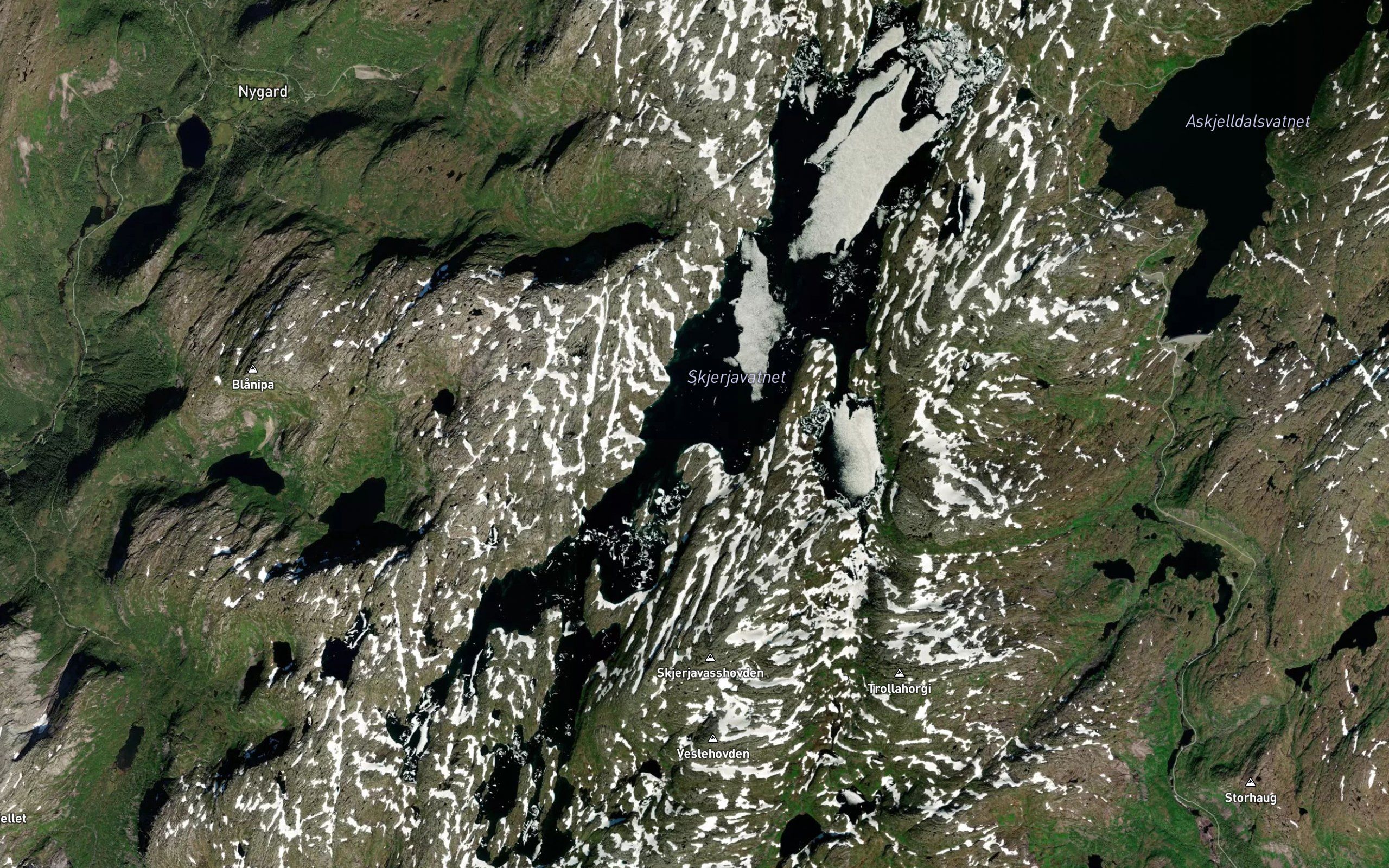 Skjerjavatnet