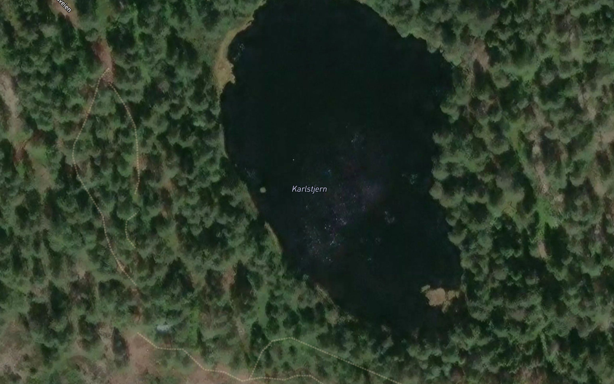 Karlstjern