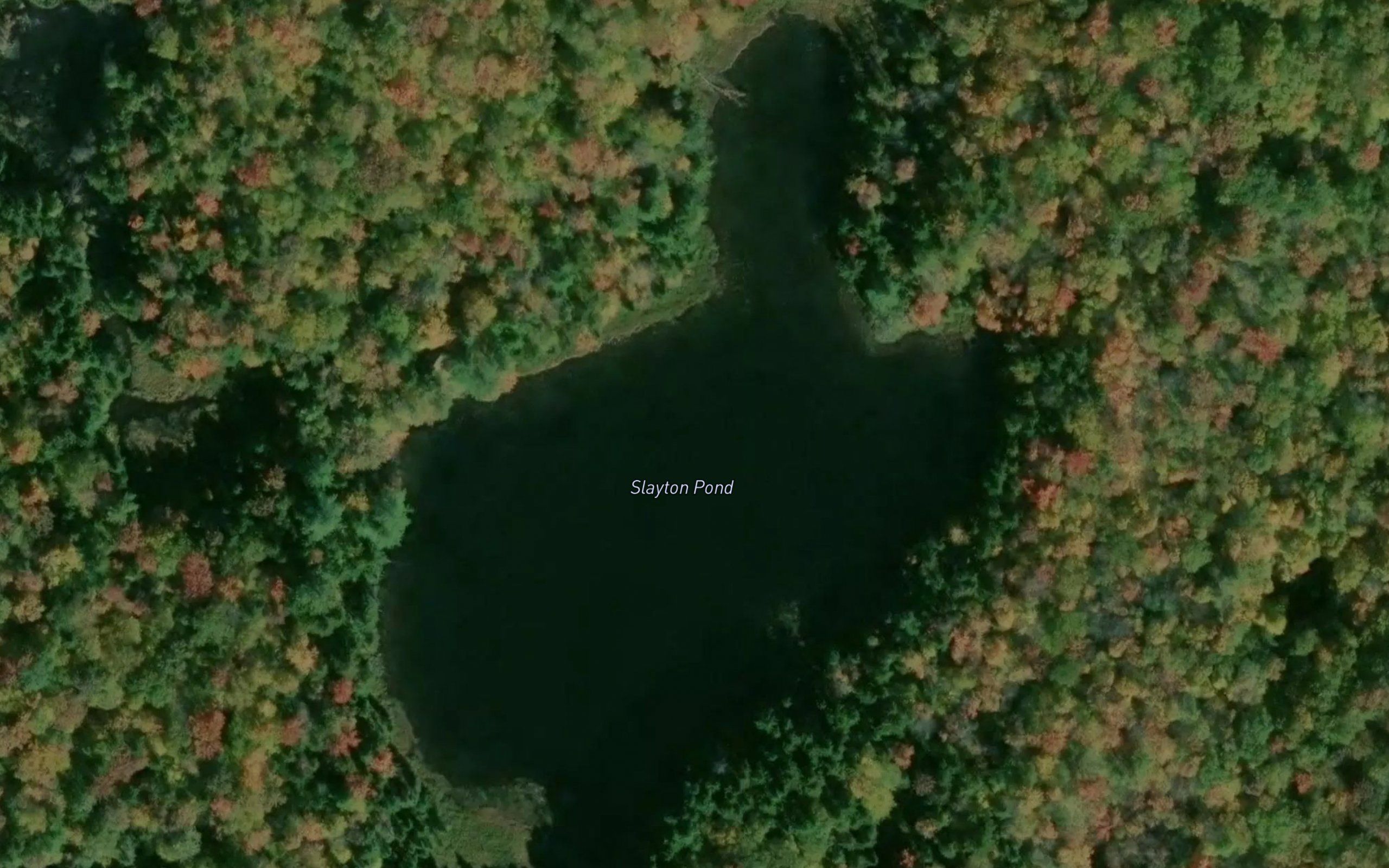 Slayton Pond