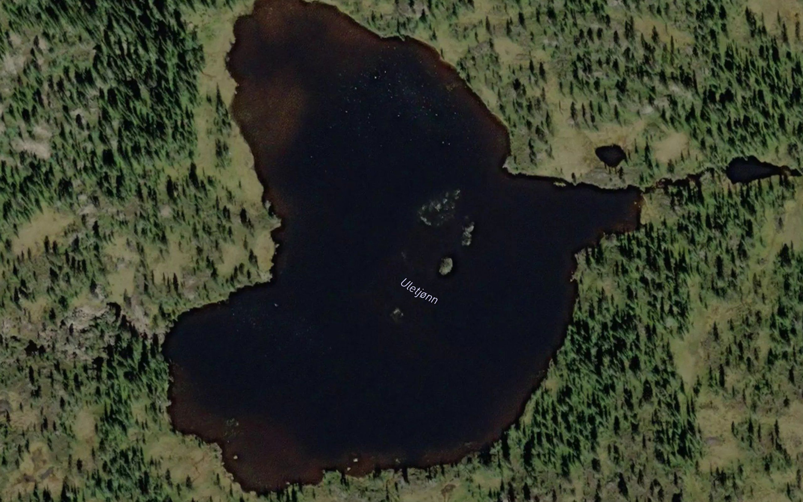 Uletjonn