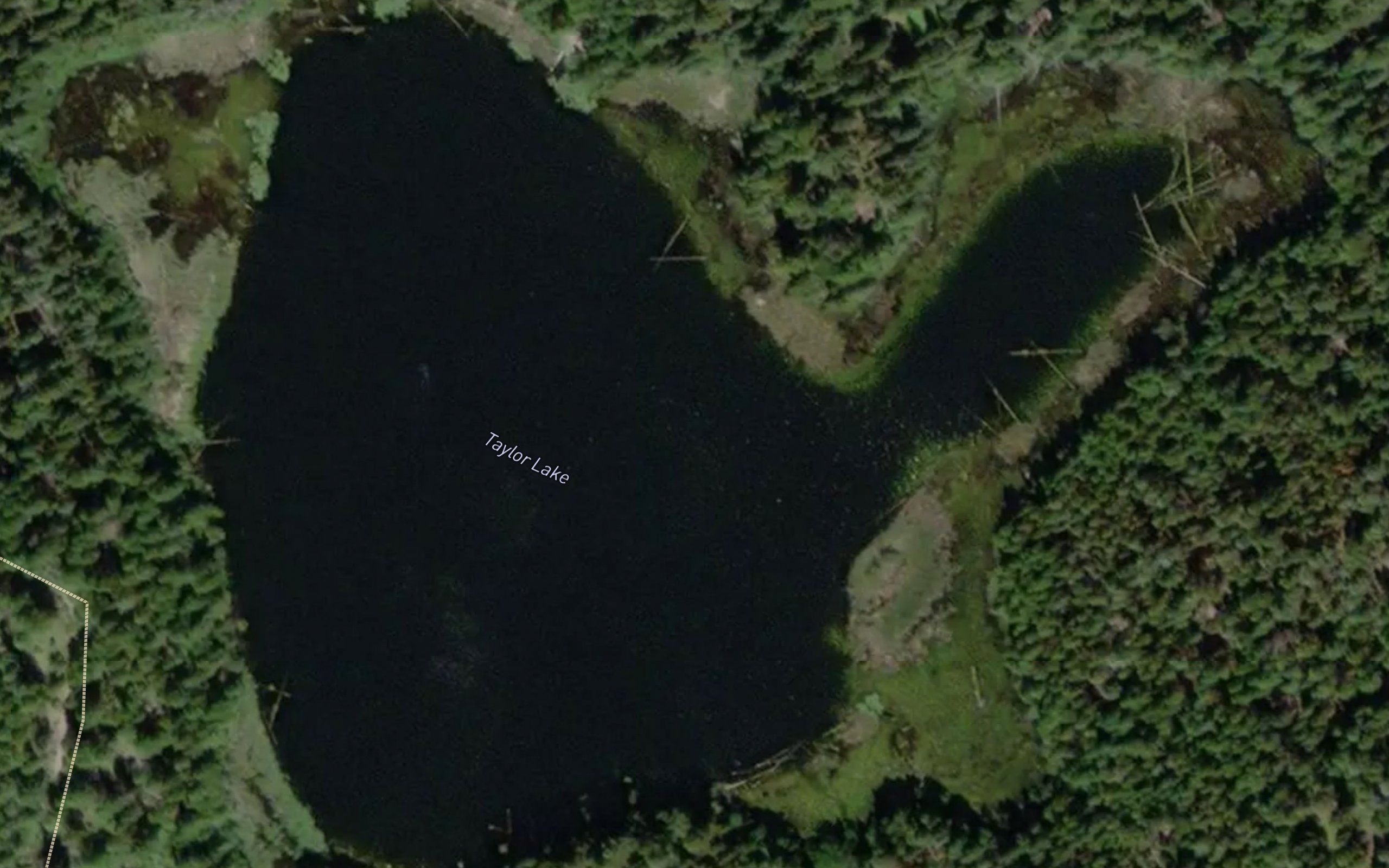 Taylor Lake