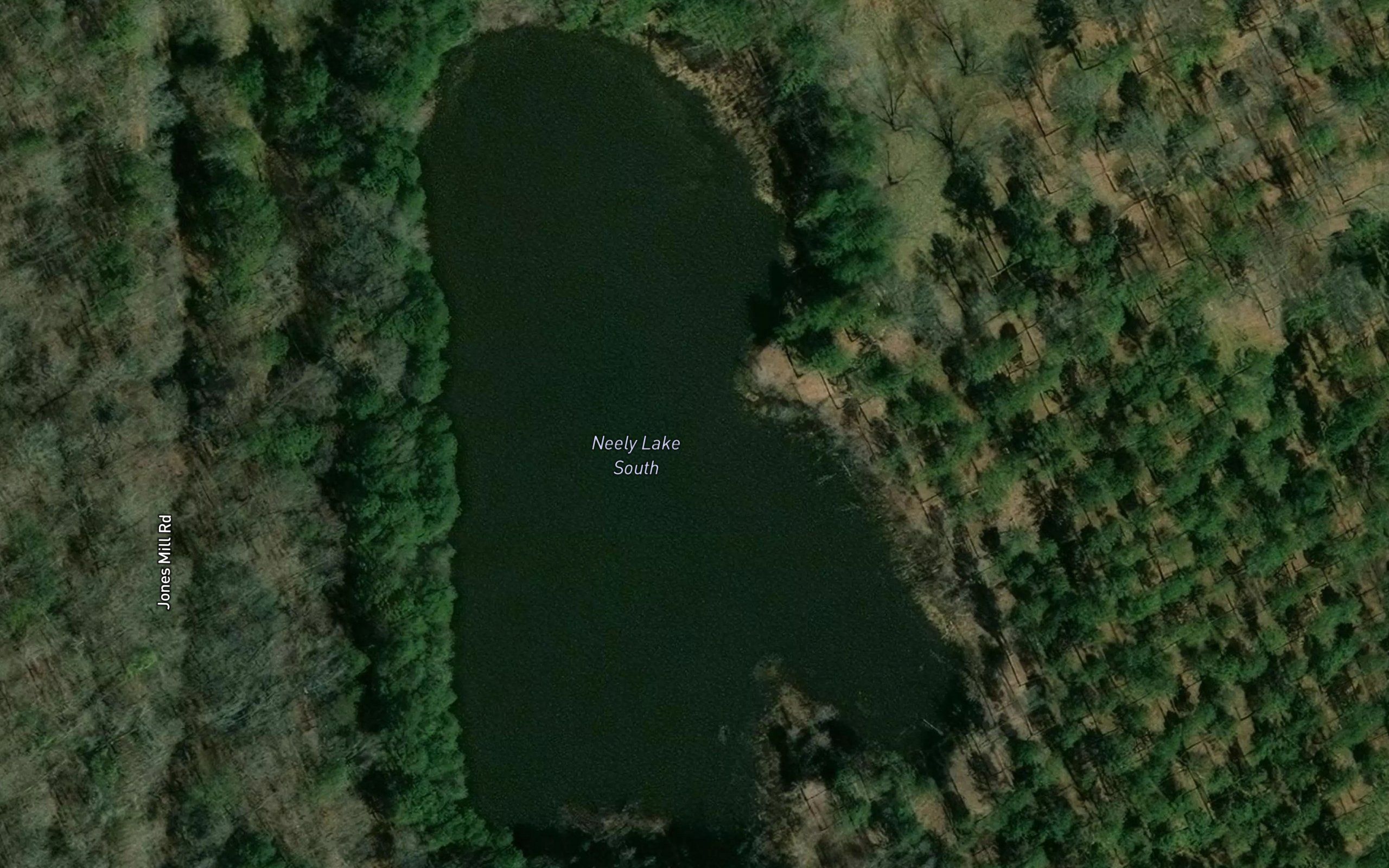 Neely Lake South