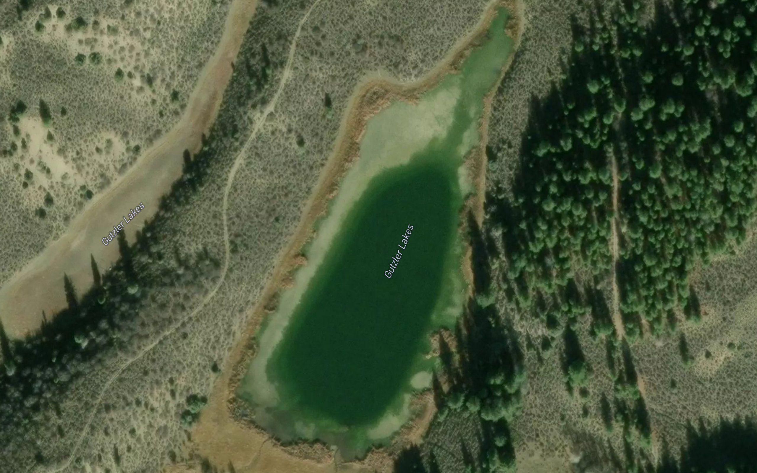 Gutzler Lakes