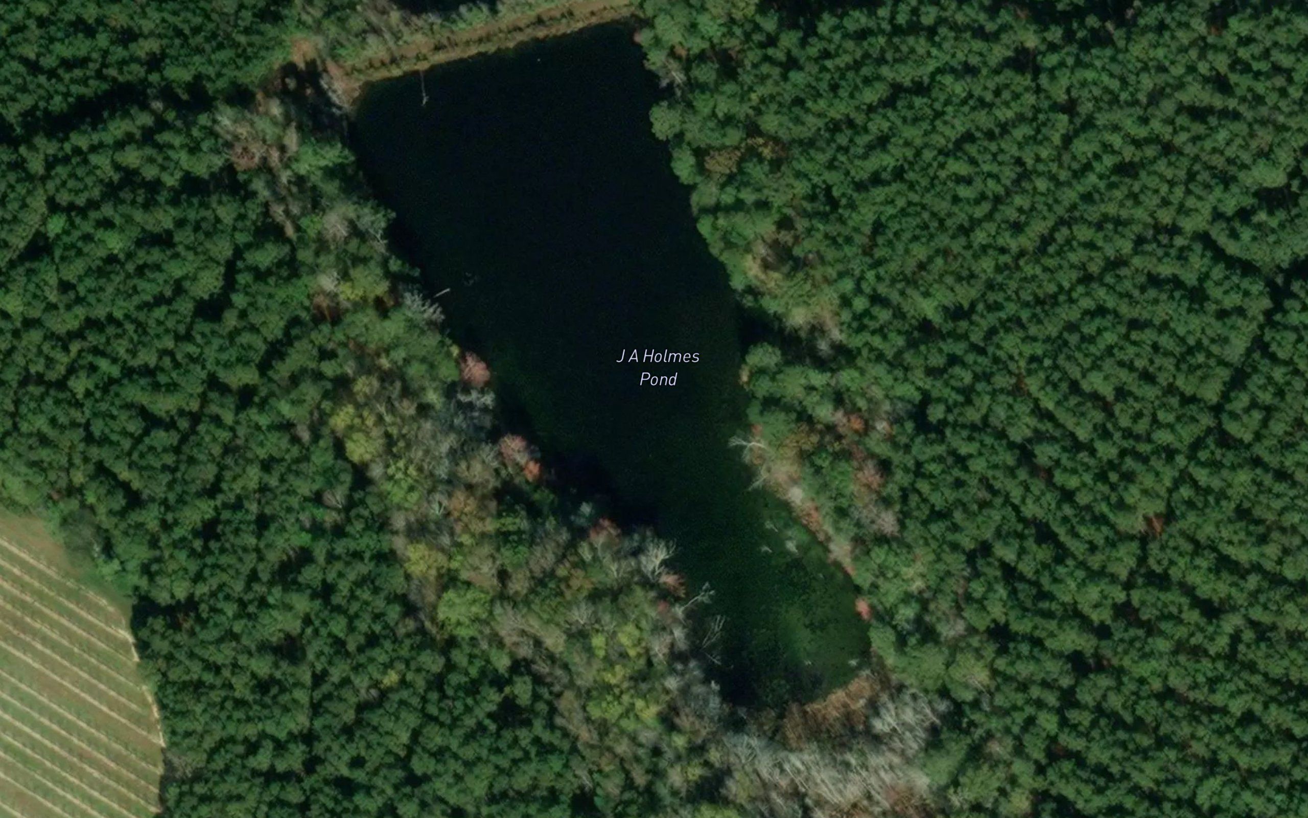 J A Holmes Pond