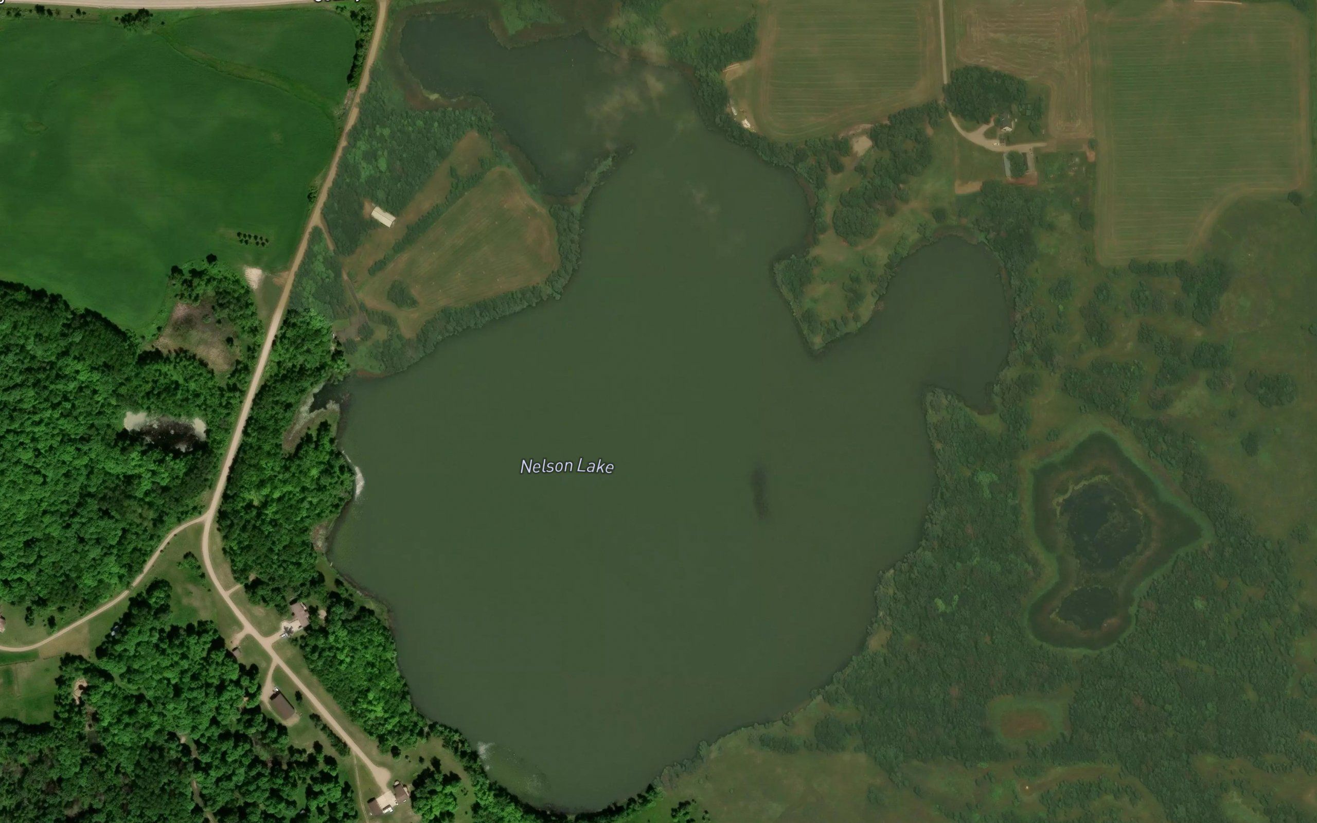 Nelson Lake