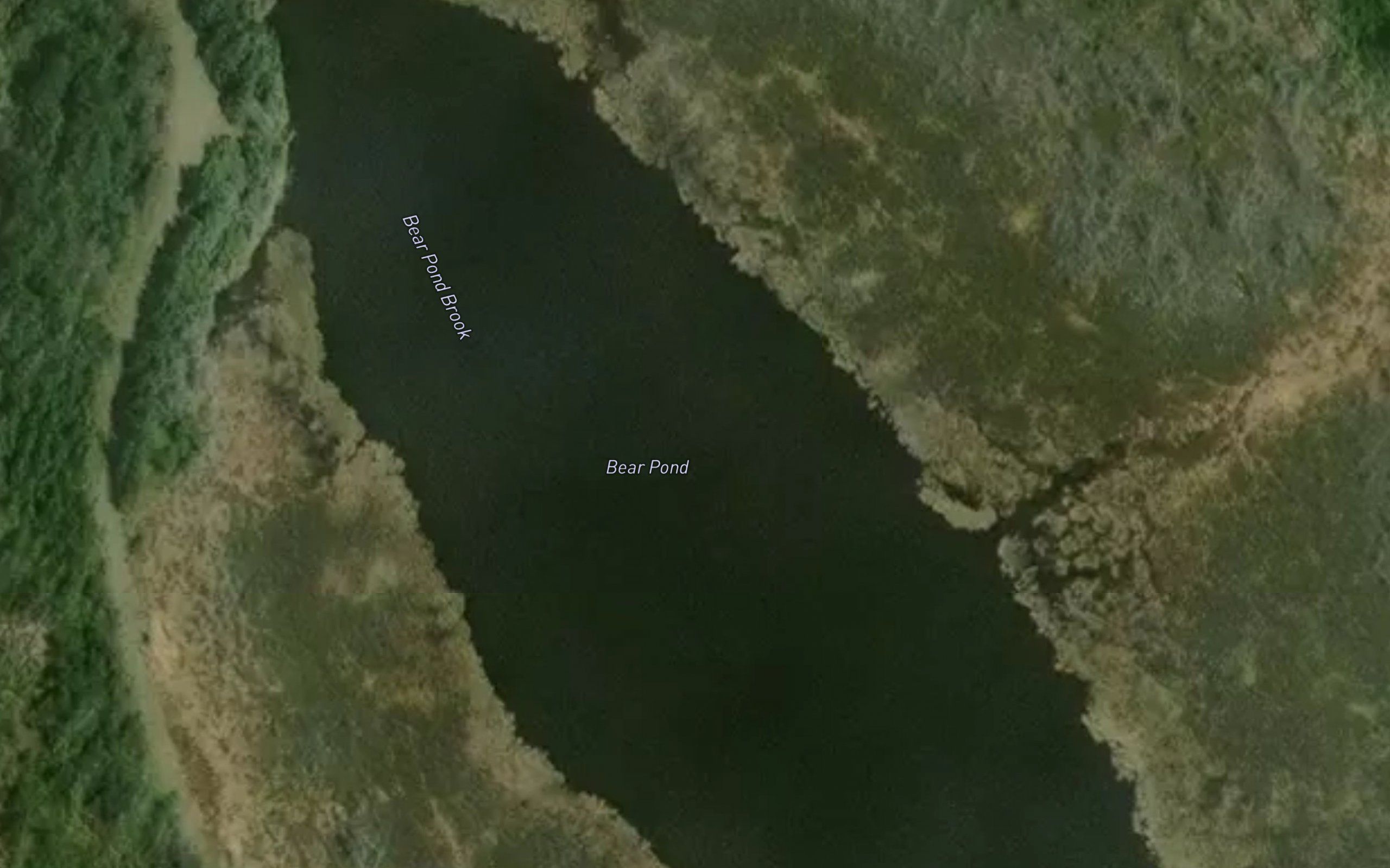 Bear Pond