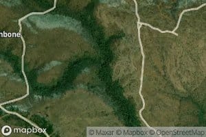 South Fork Basin Creek