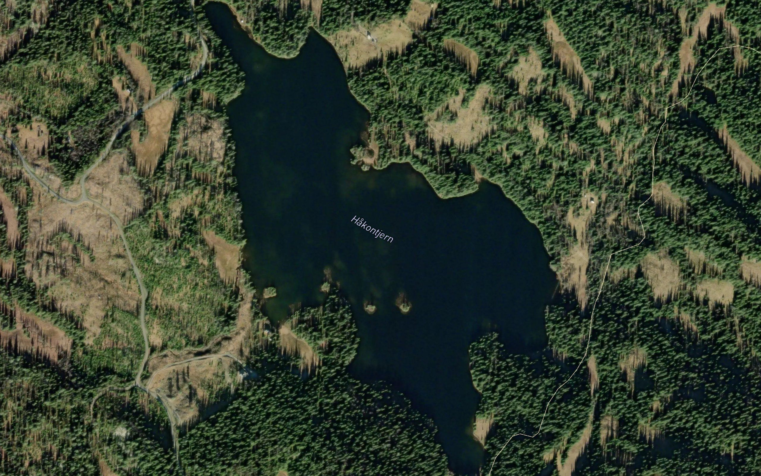 Hakontjern
