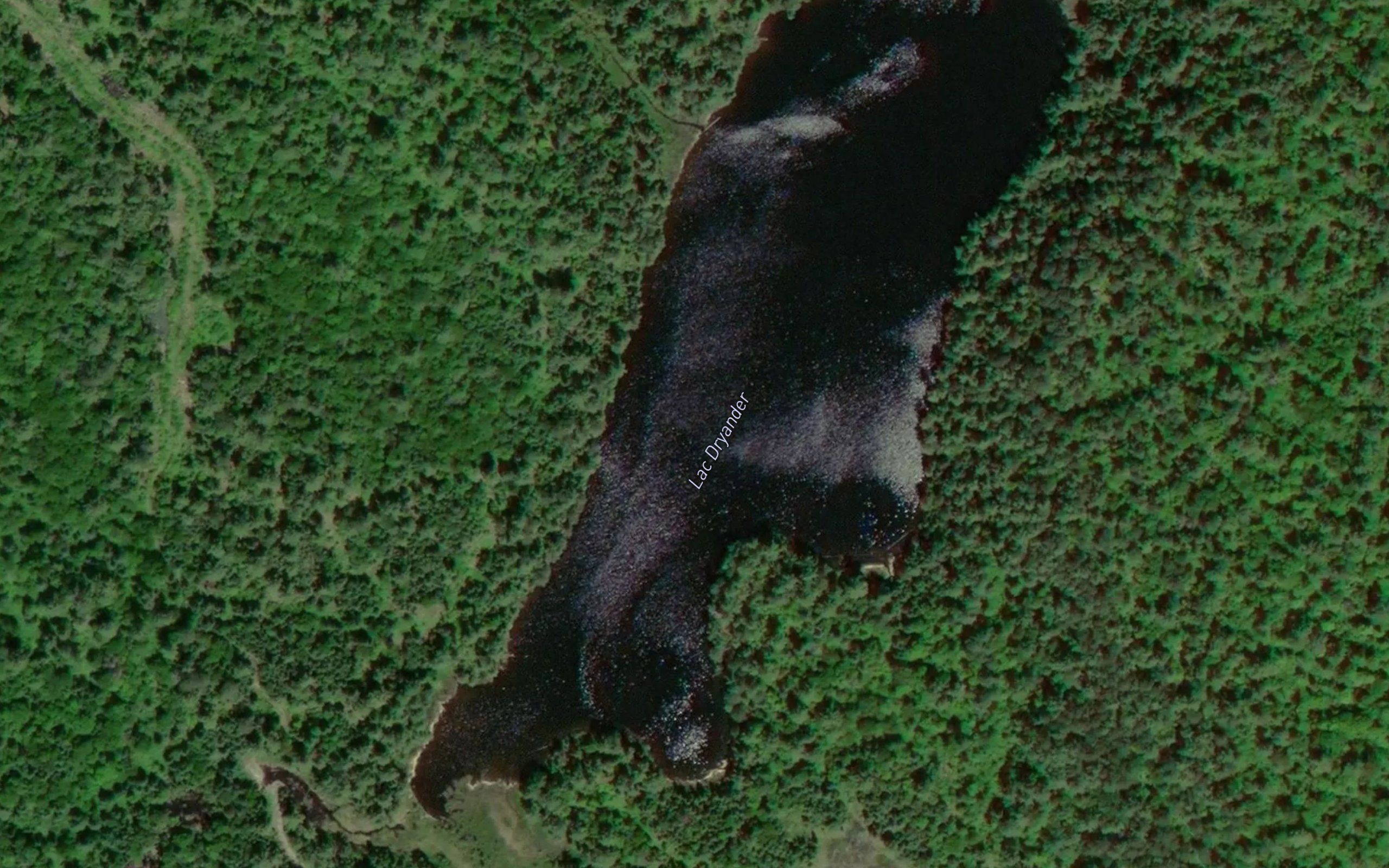 Lac Dryander