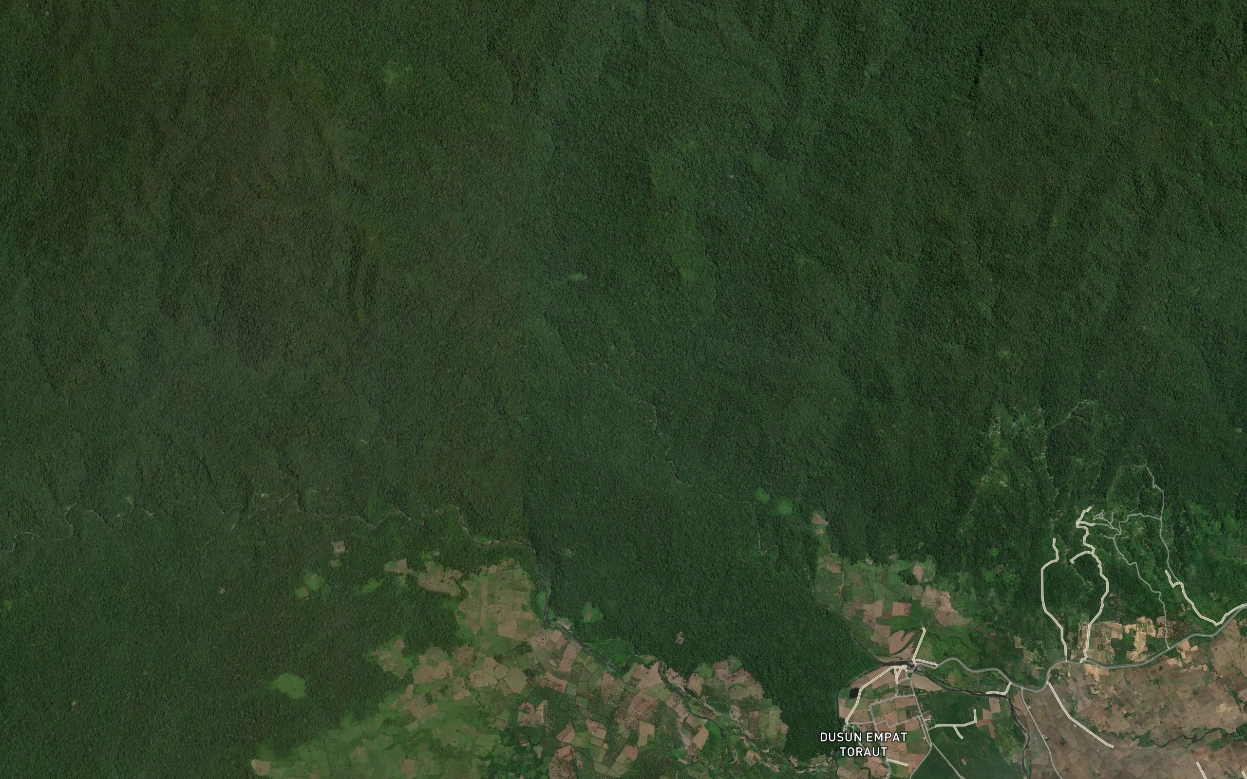 Minanga Yoki