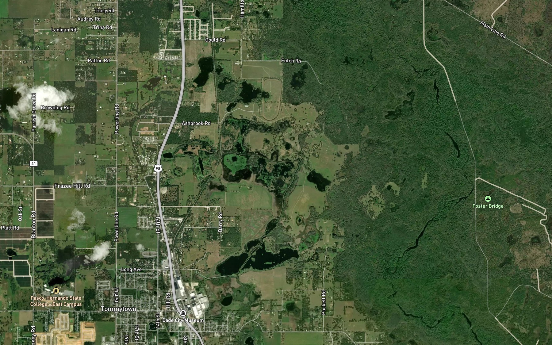 Satellite map of the Horseshoe Lake