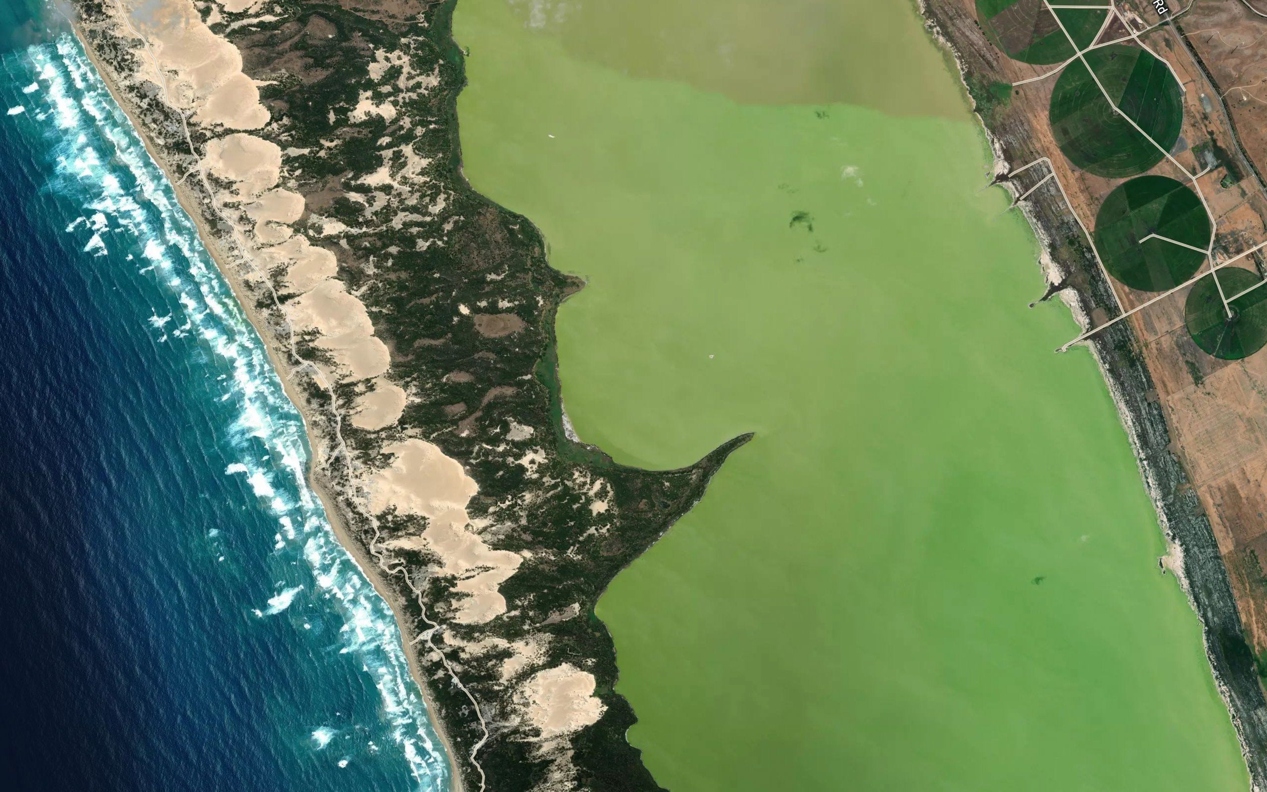 Bay of Gums