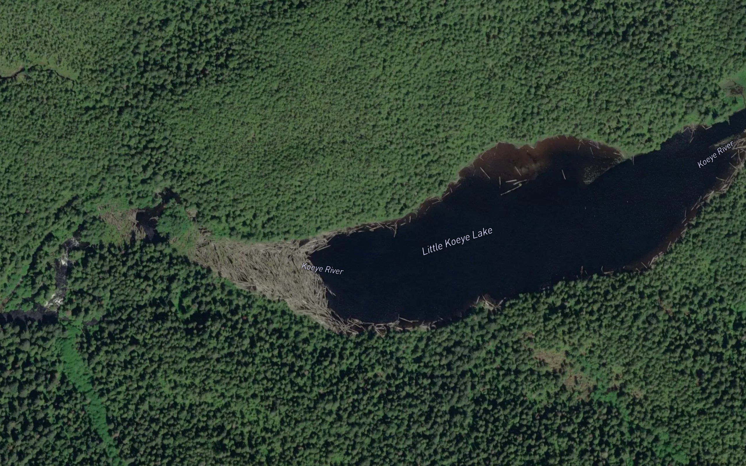 Little Koeye Lake