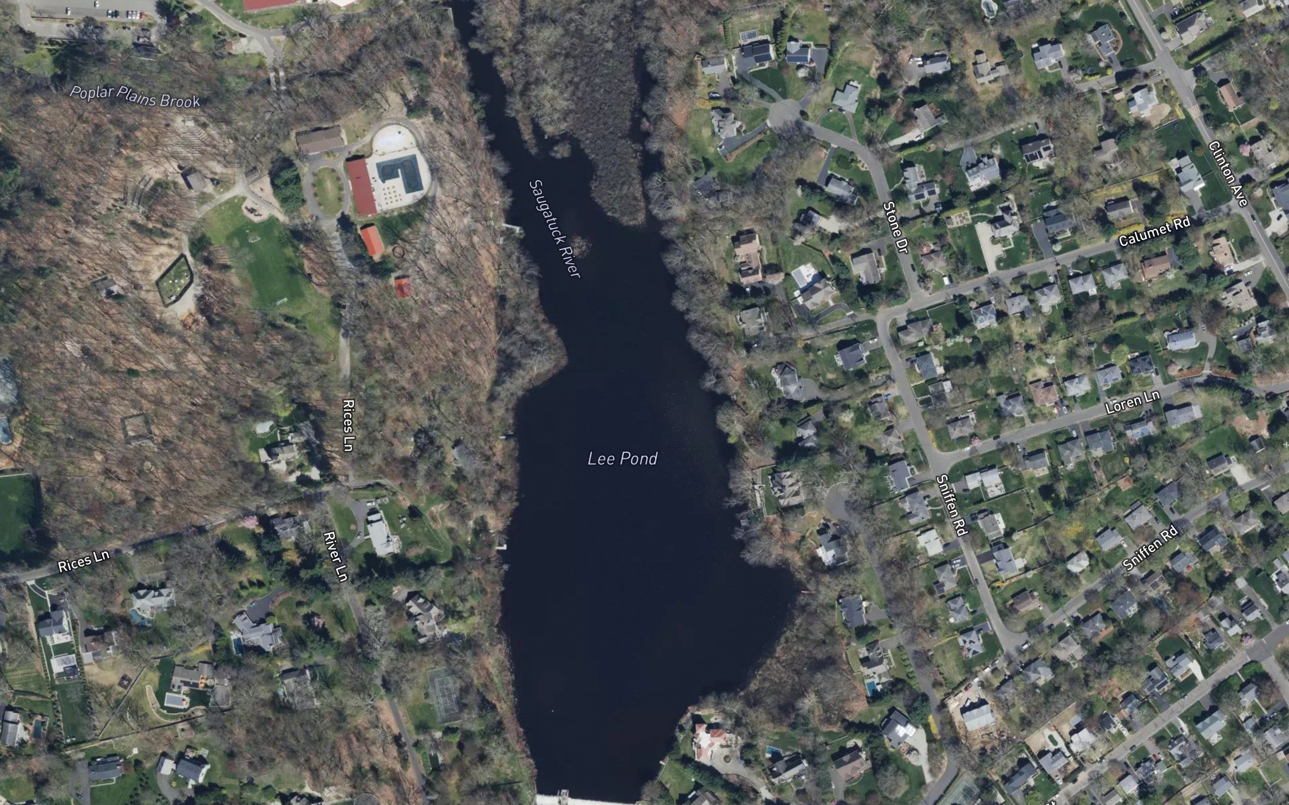 Lee Pond