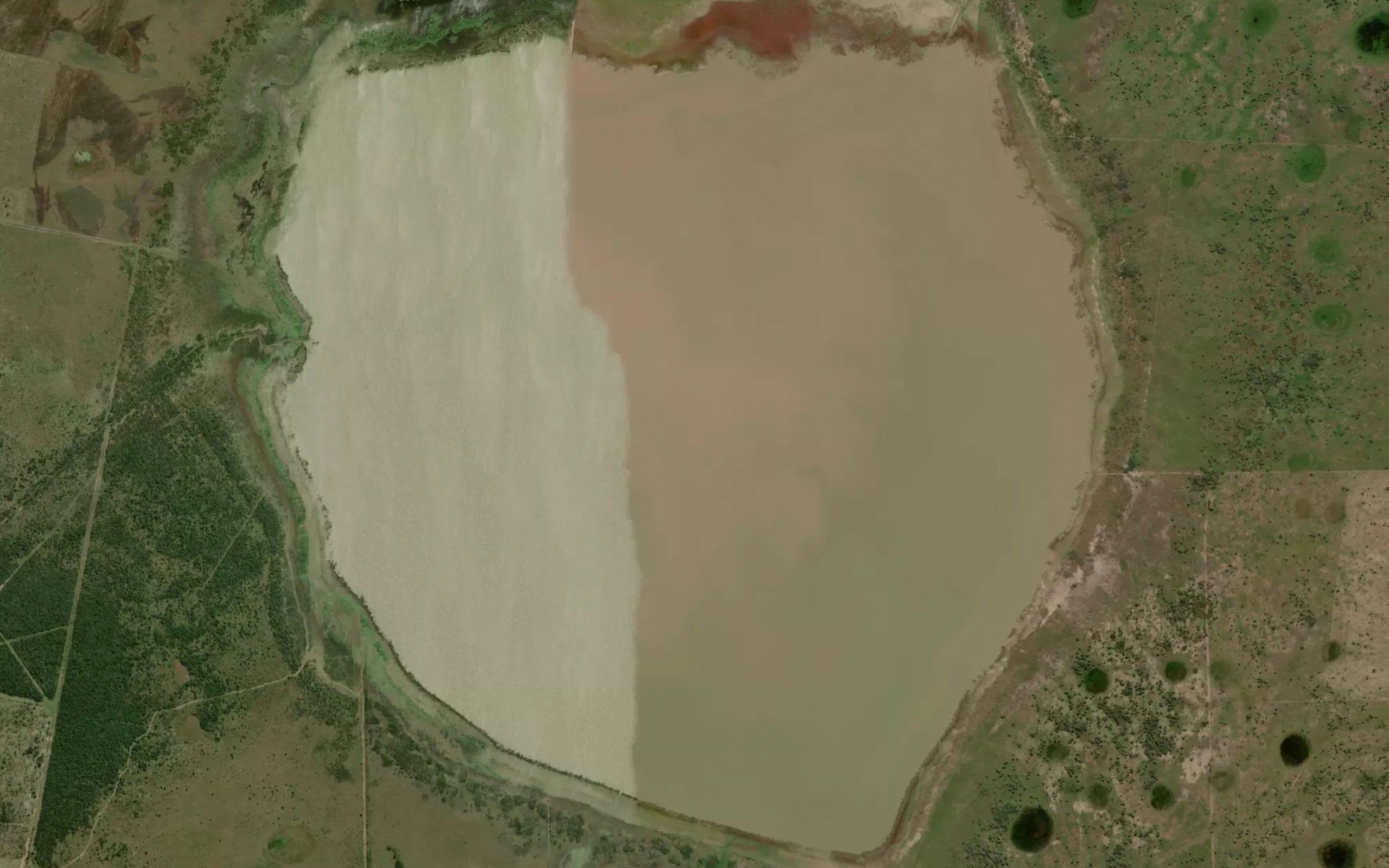 Laguna Palos Negros
