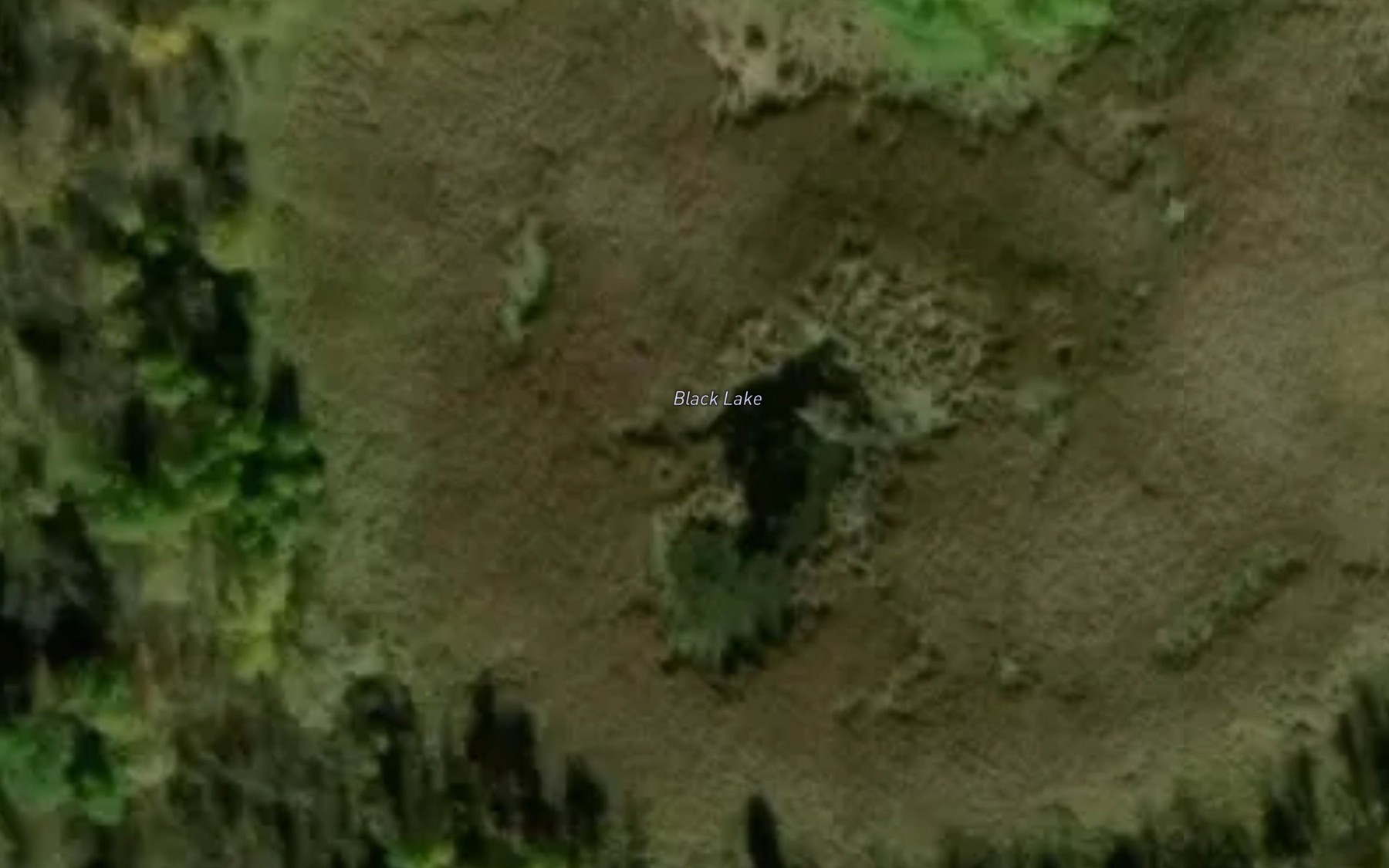Satellite map of the Black Lake