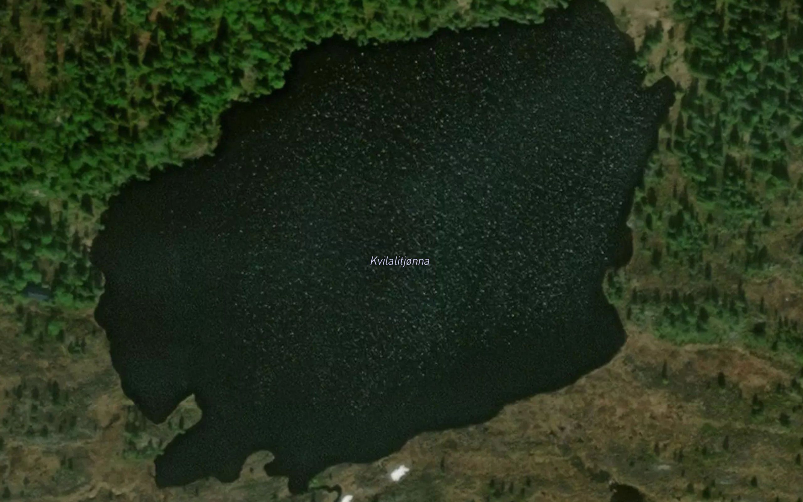 Kalvtjorna