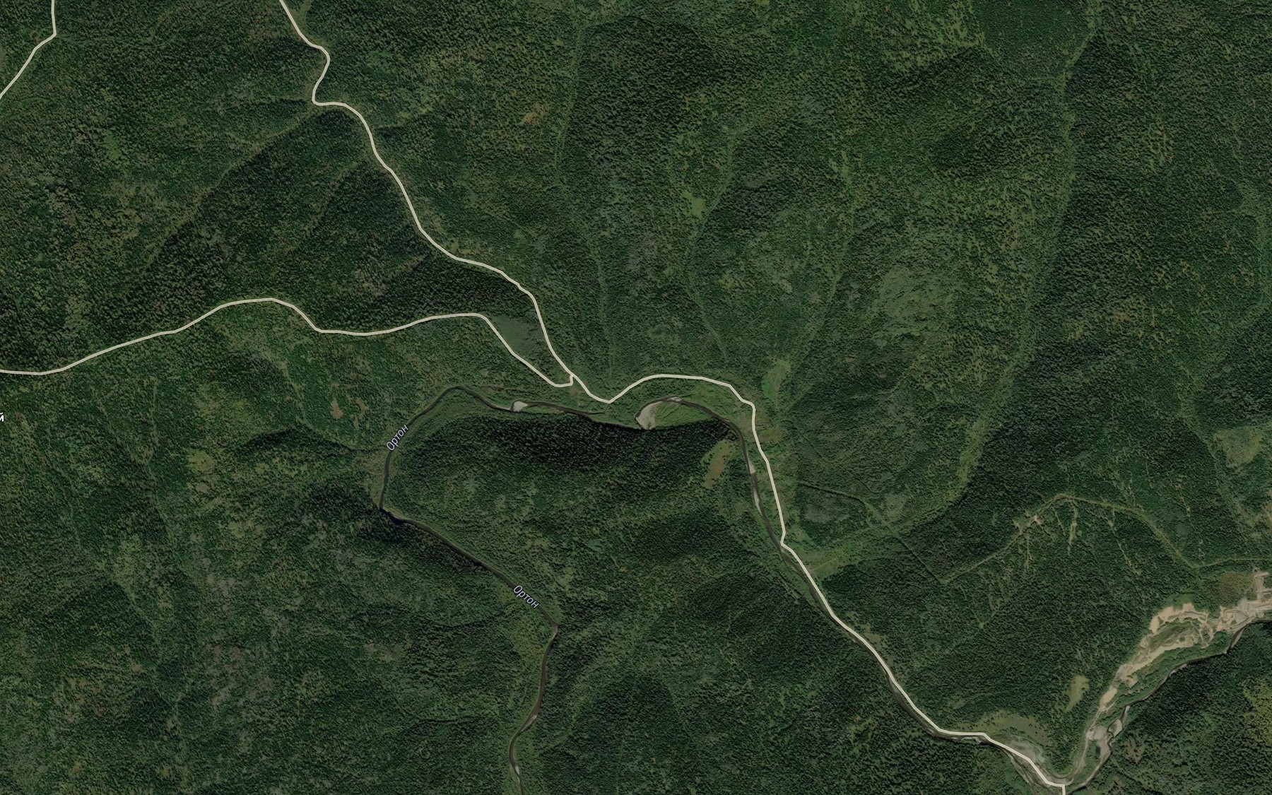 Satellite map of the Bol'shaya Berezovka