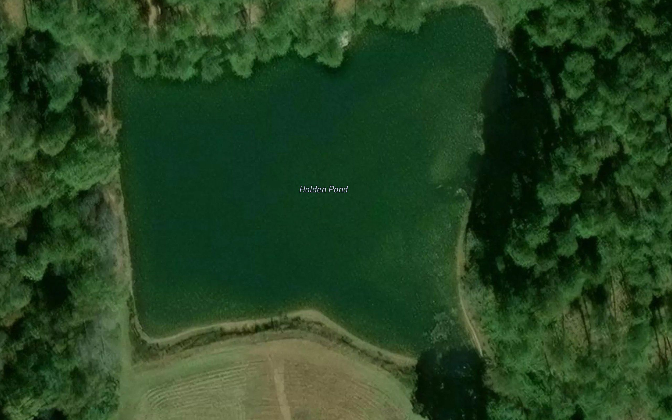 Holden Pond