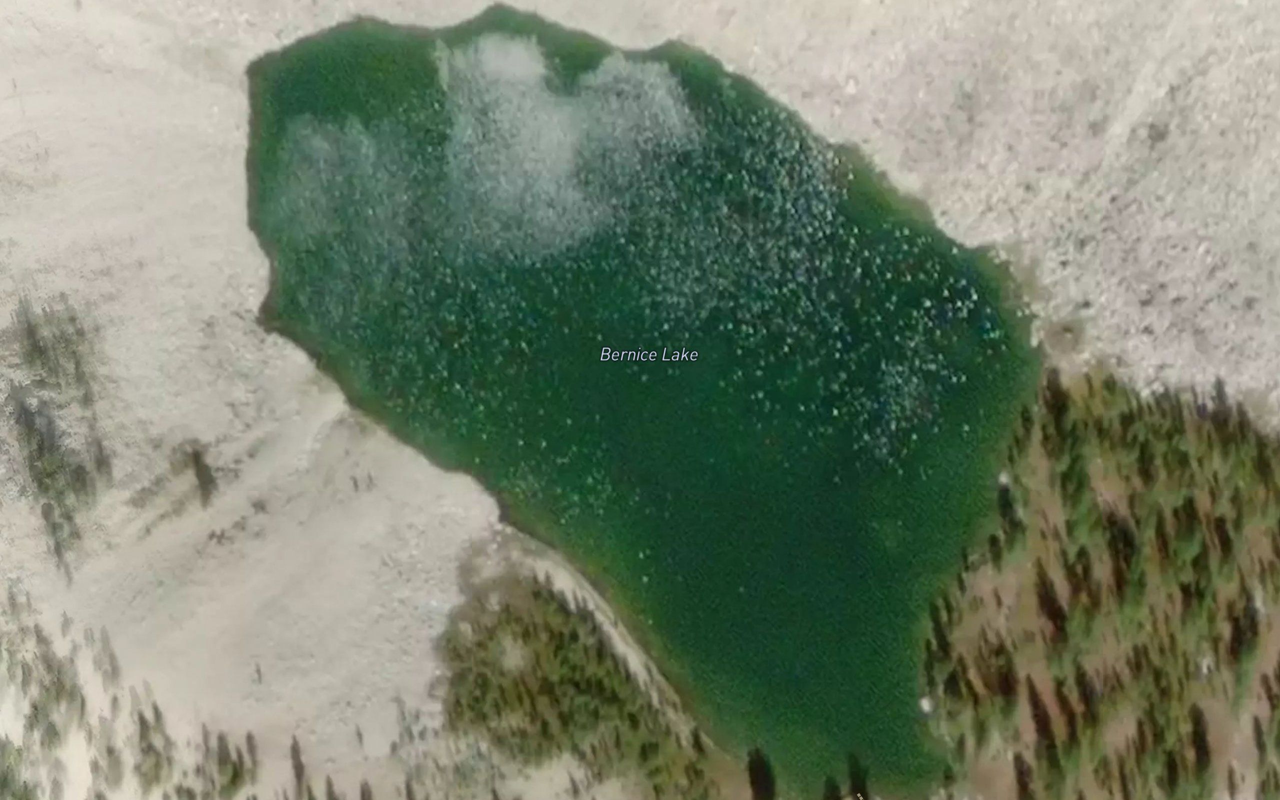 Bernice Lake