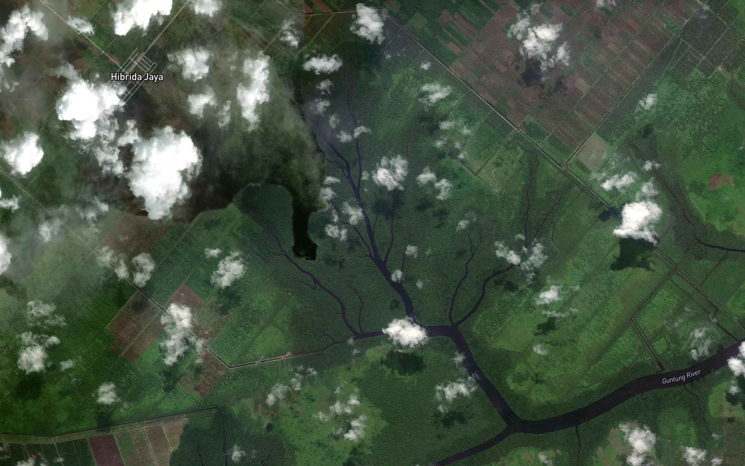 Sungai Saka Pekalang Sakit