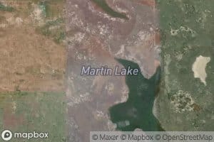Martin Lake
