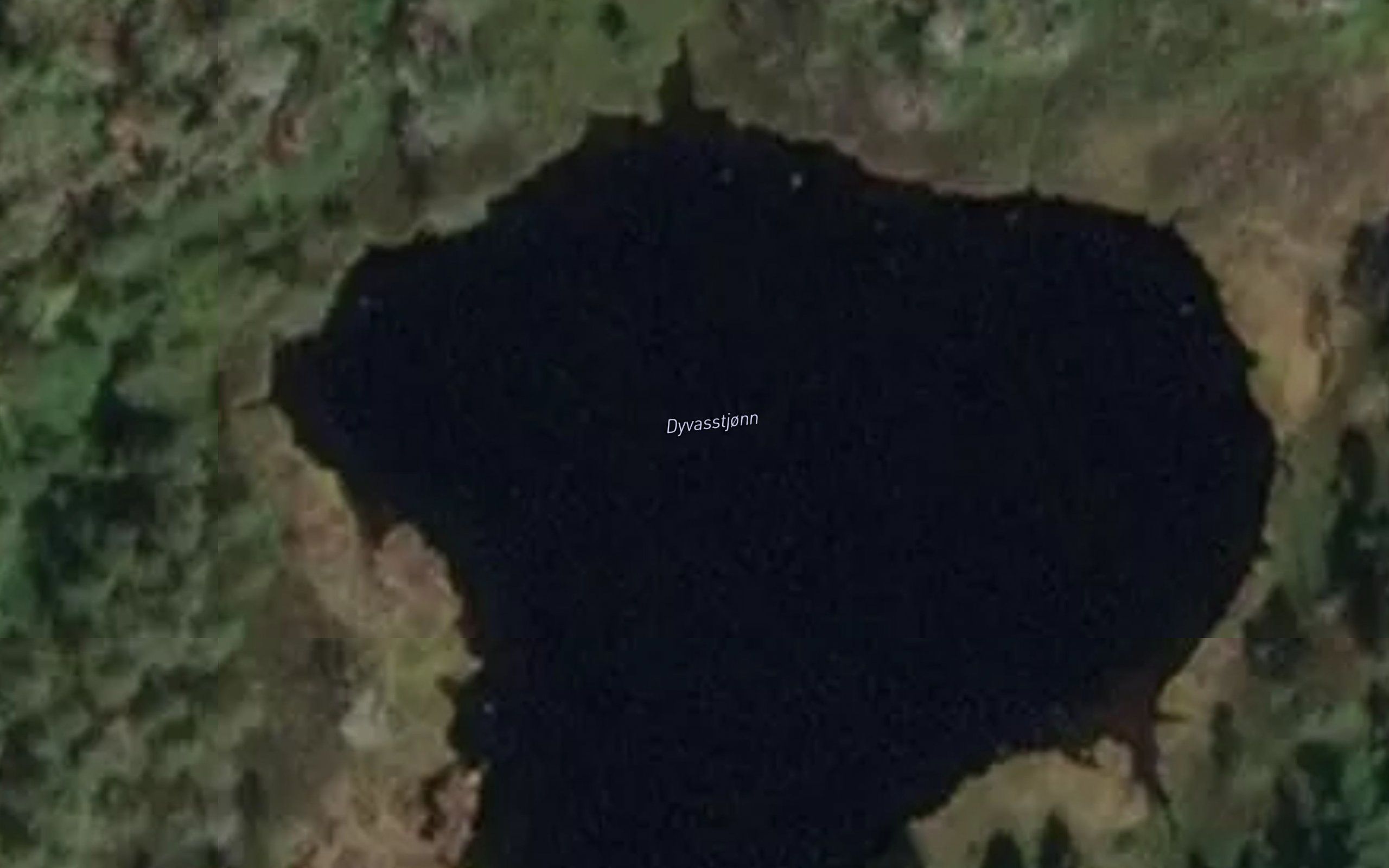 Dyvasstjonn