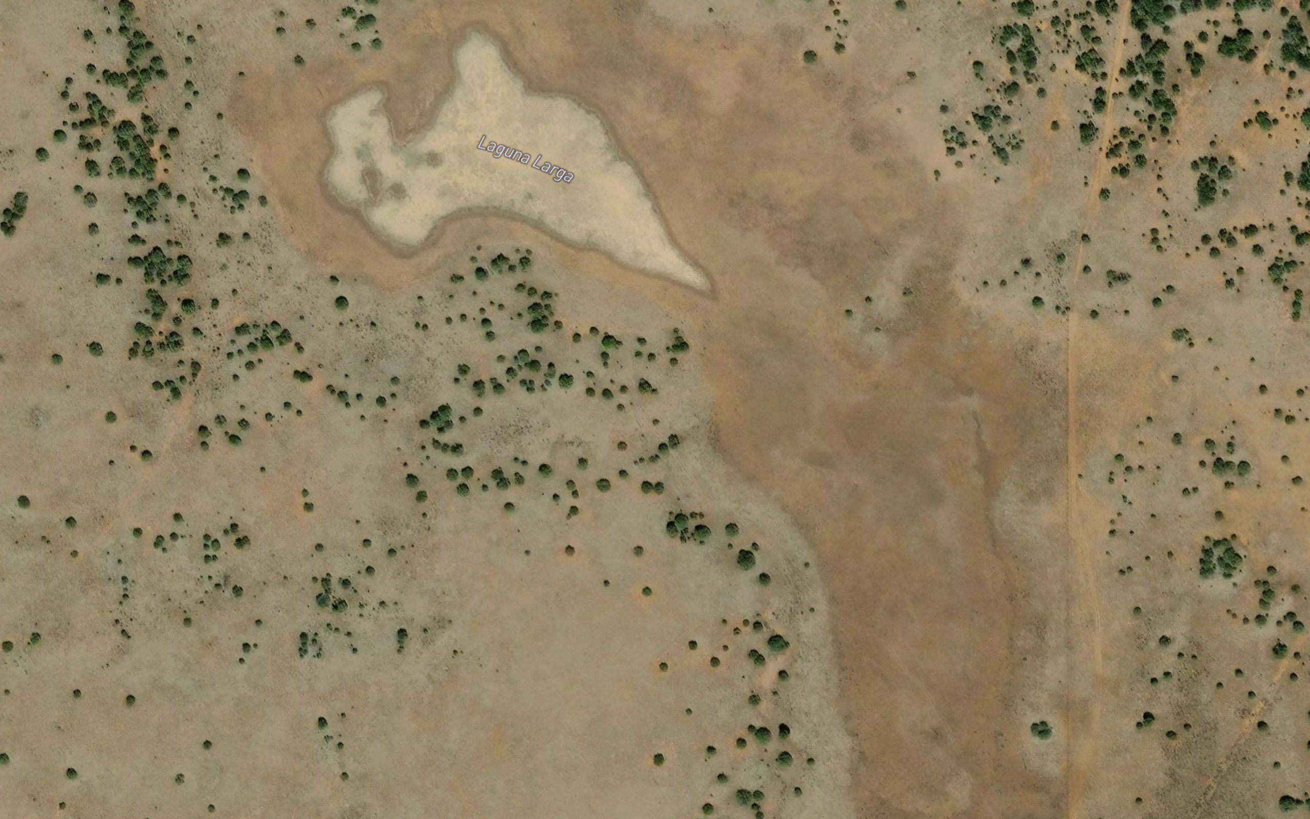 Laguna Larga