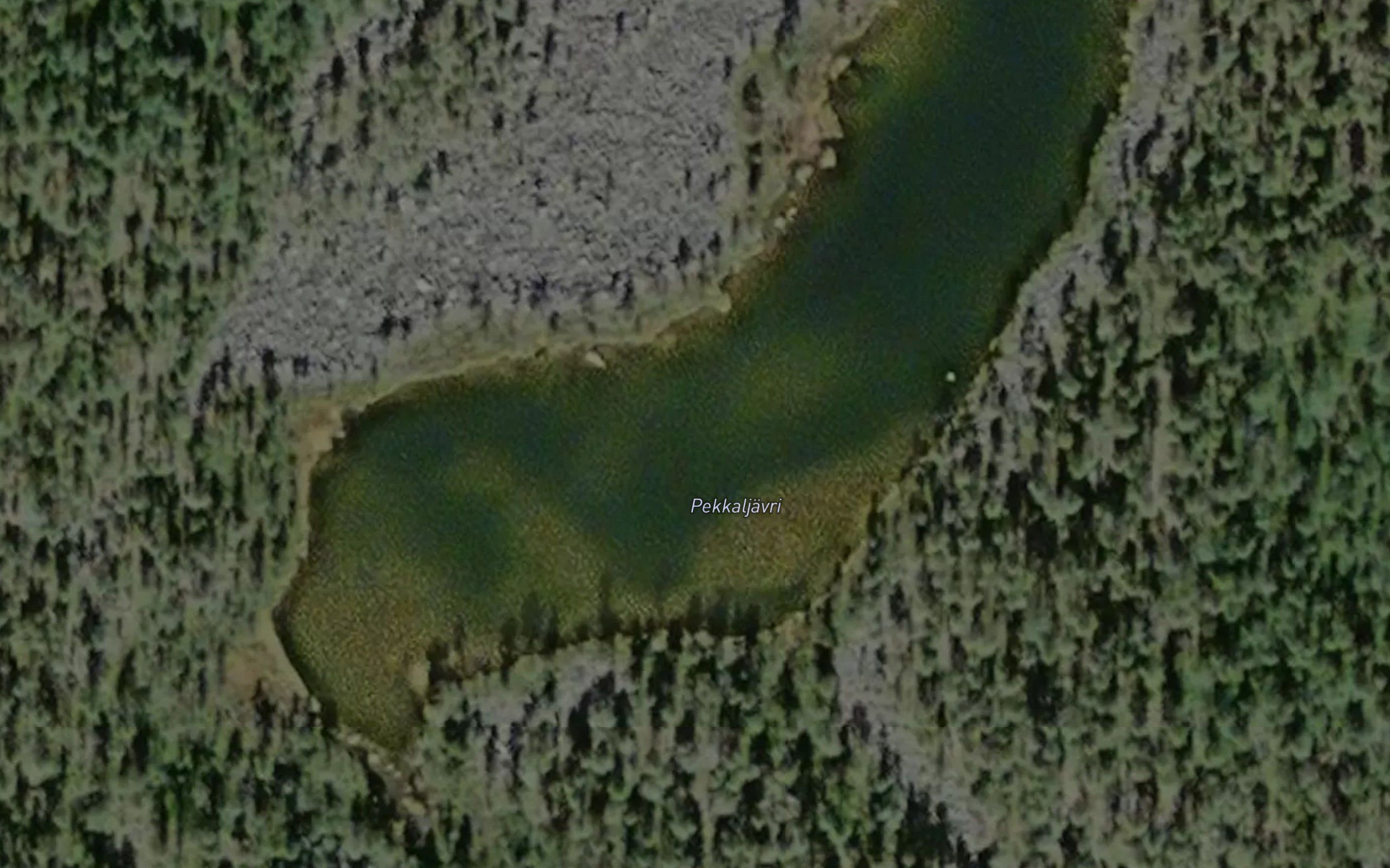 Pekkaljavri