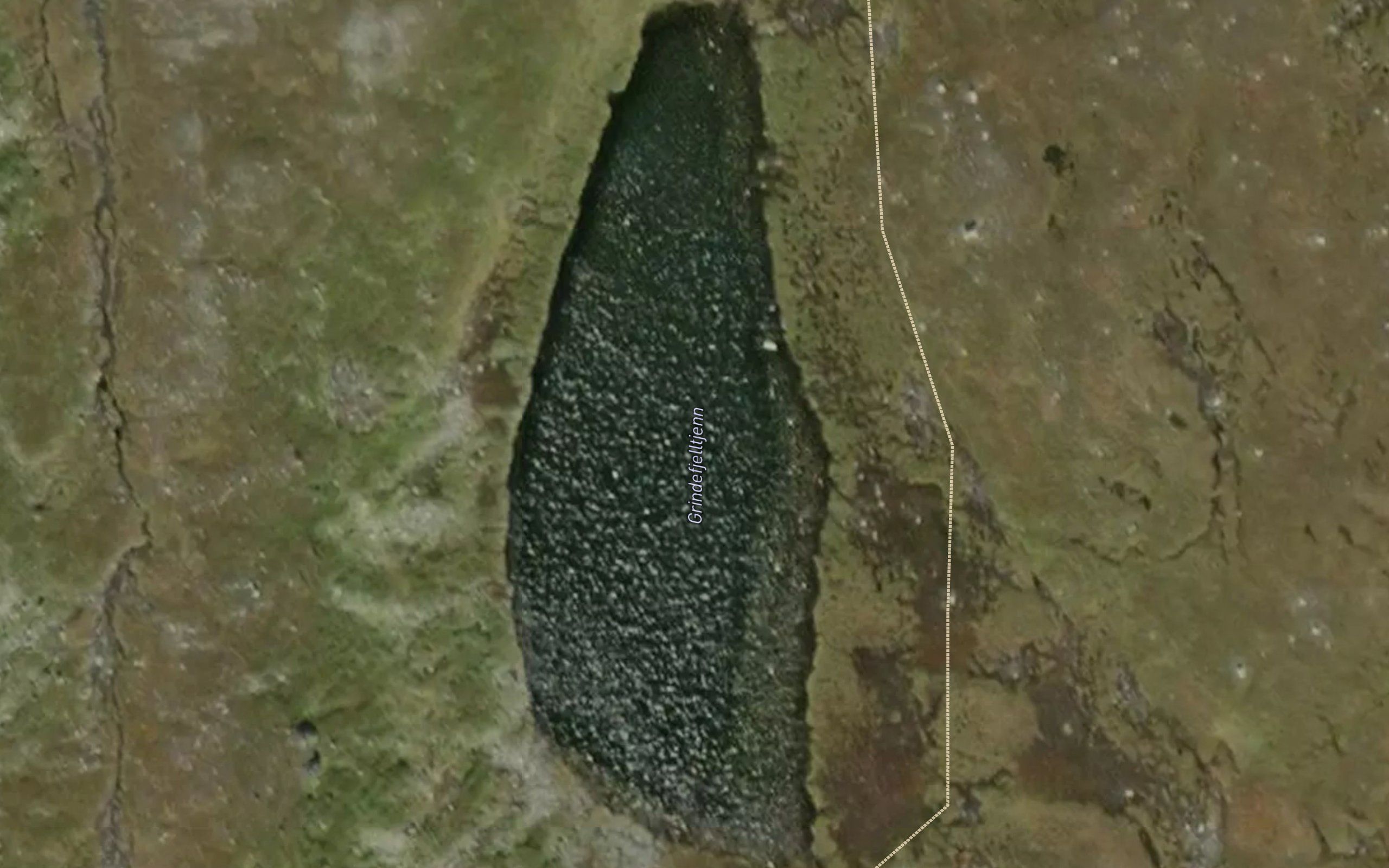 Grindefjelltjern