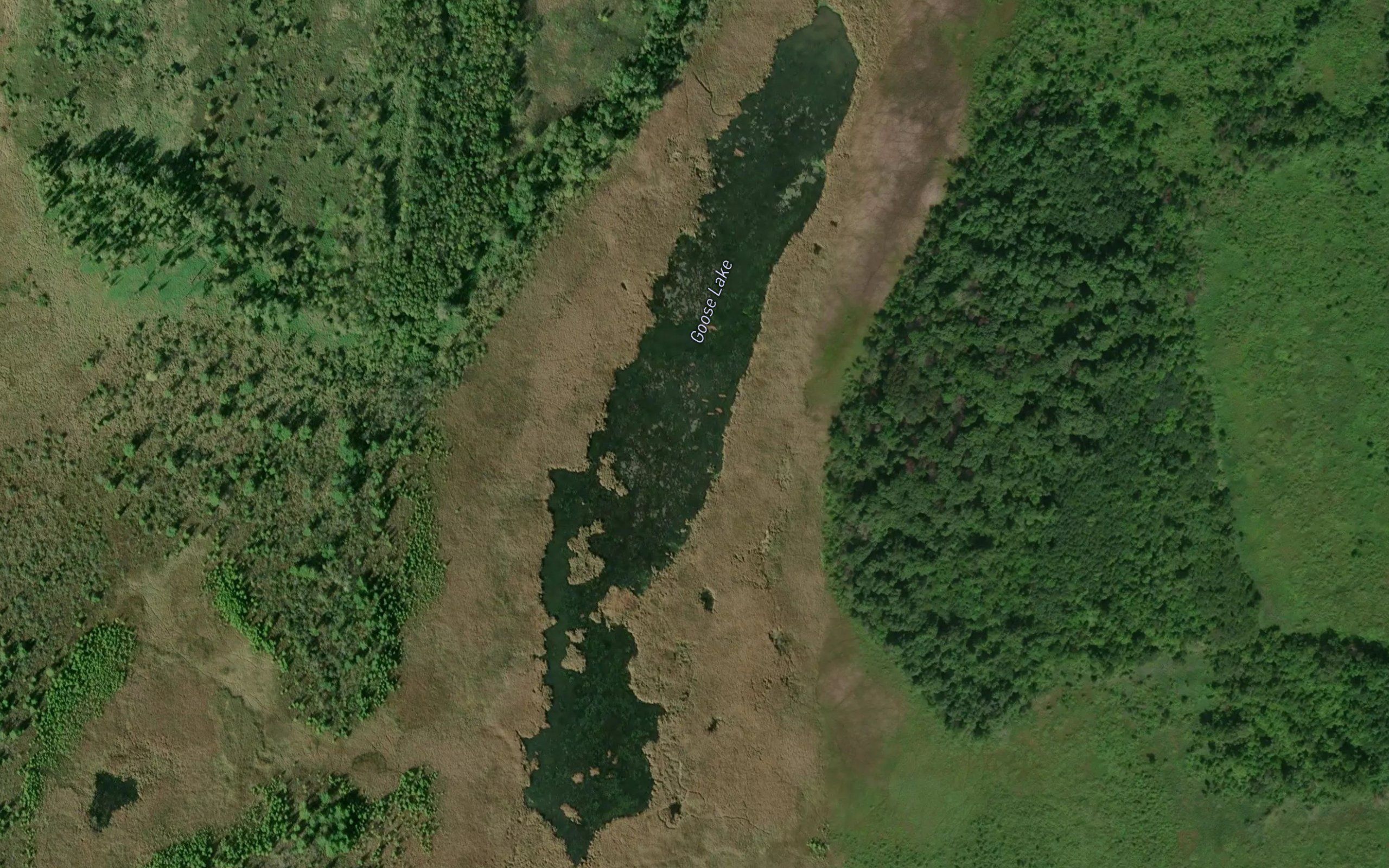 Goose Lake