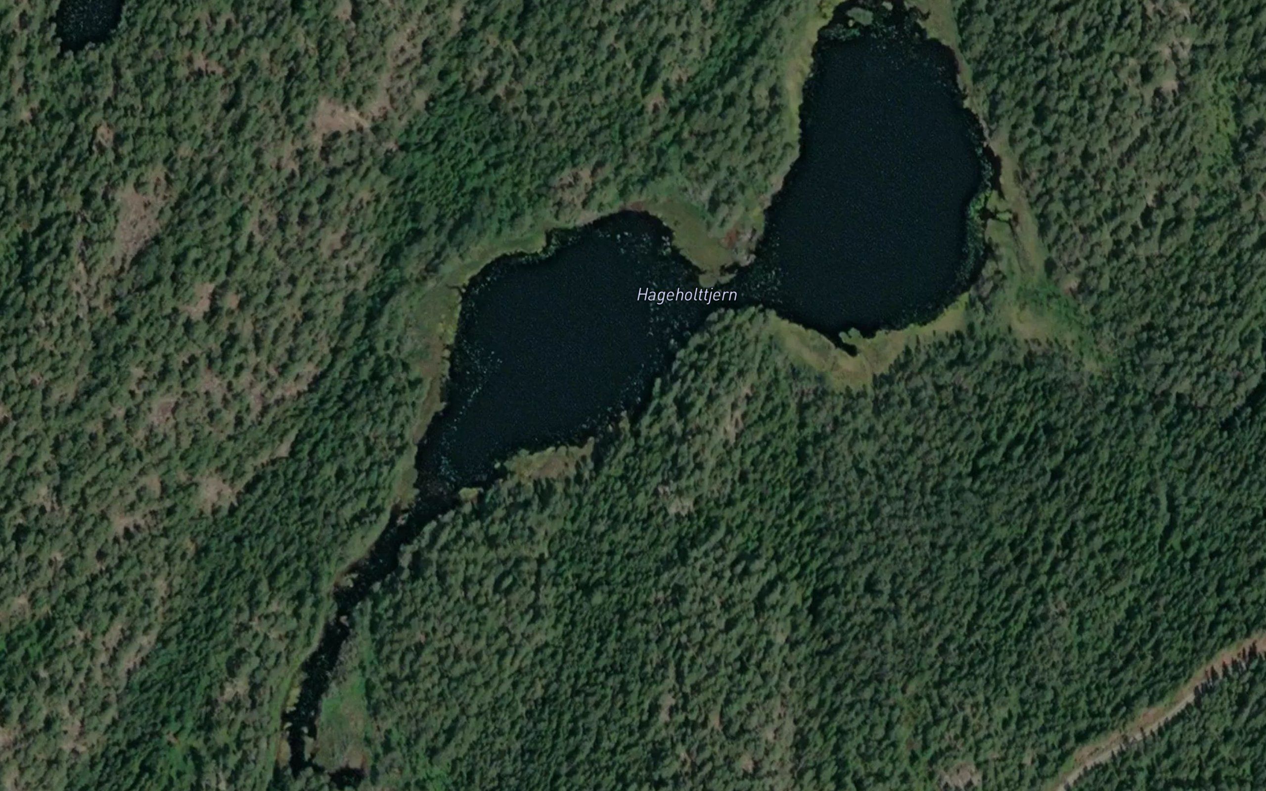 Hageholttjern