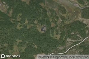 Svartetjedn
