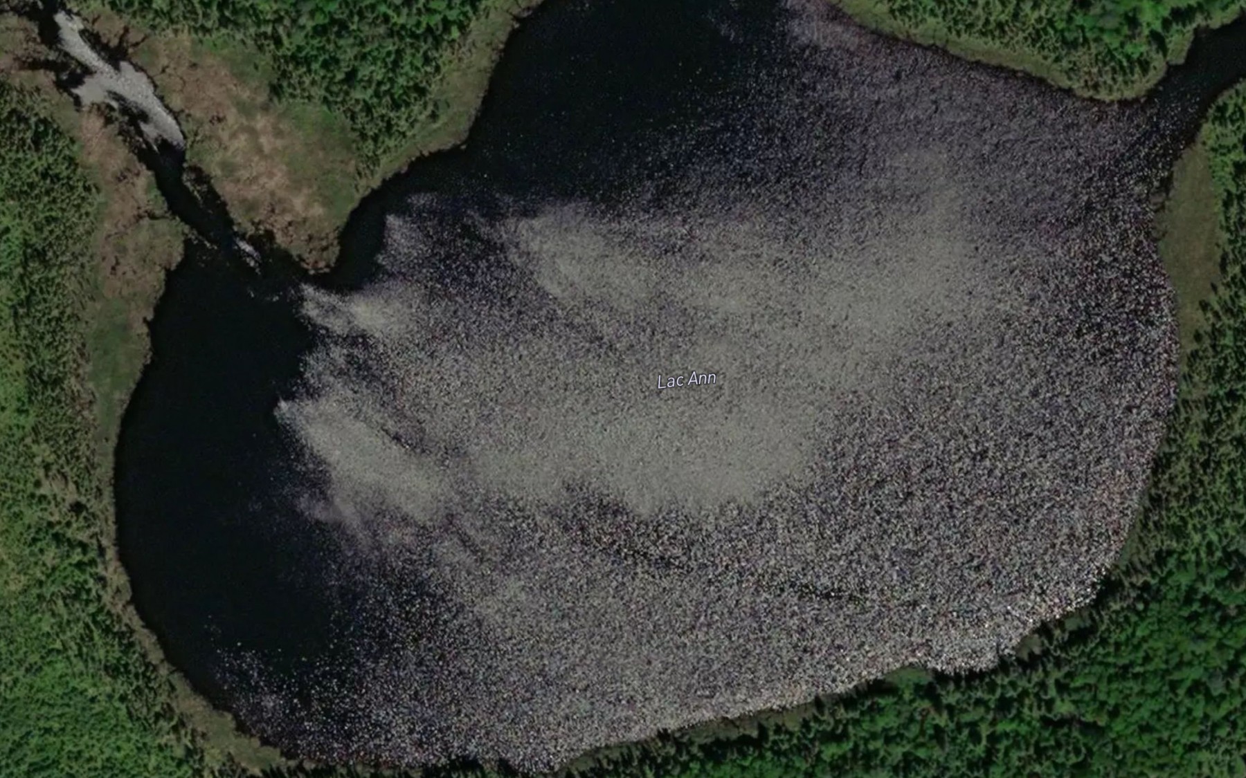 Satellite map of the Lac Ann