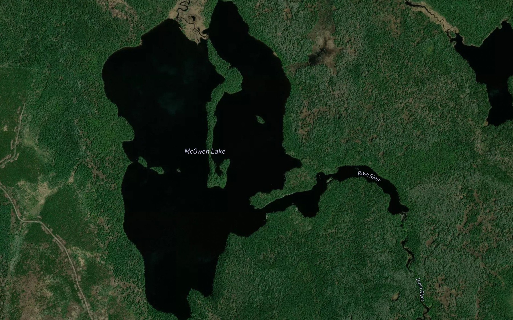 Satellite map of the McOwen Lake