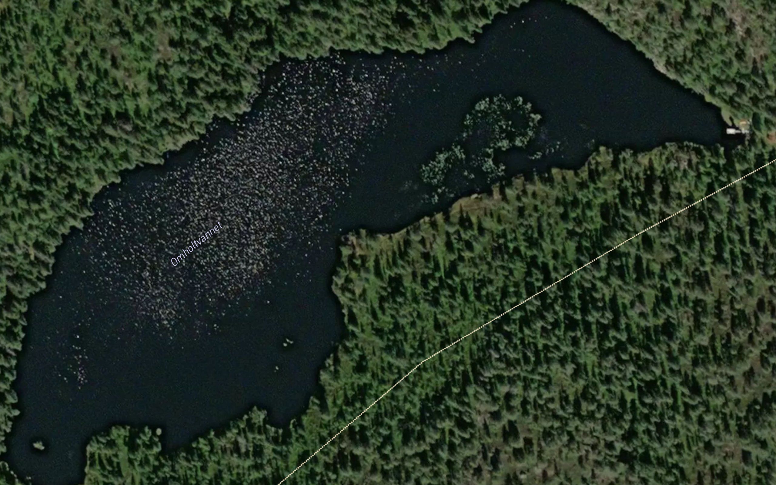 Omholtvannet
