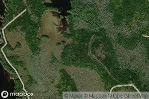 Thousand Acre Bog Brook