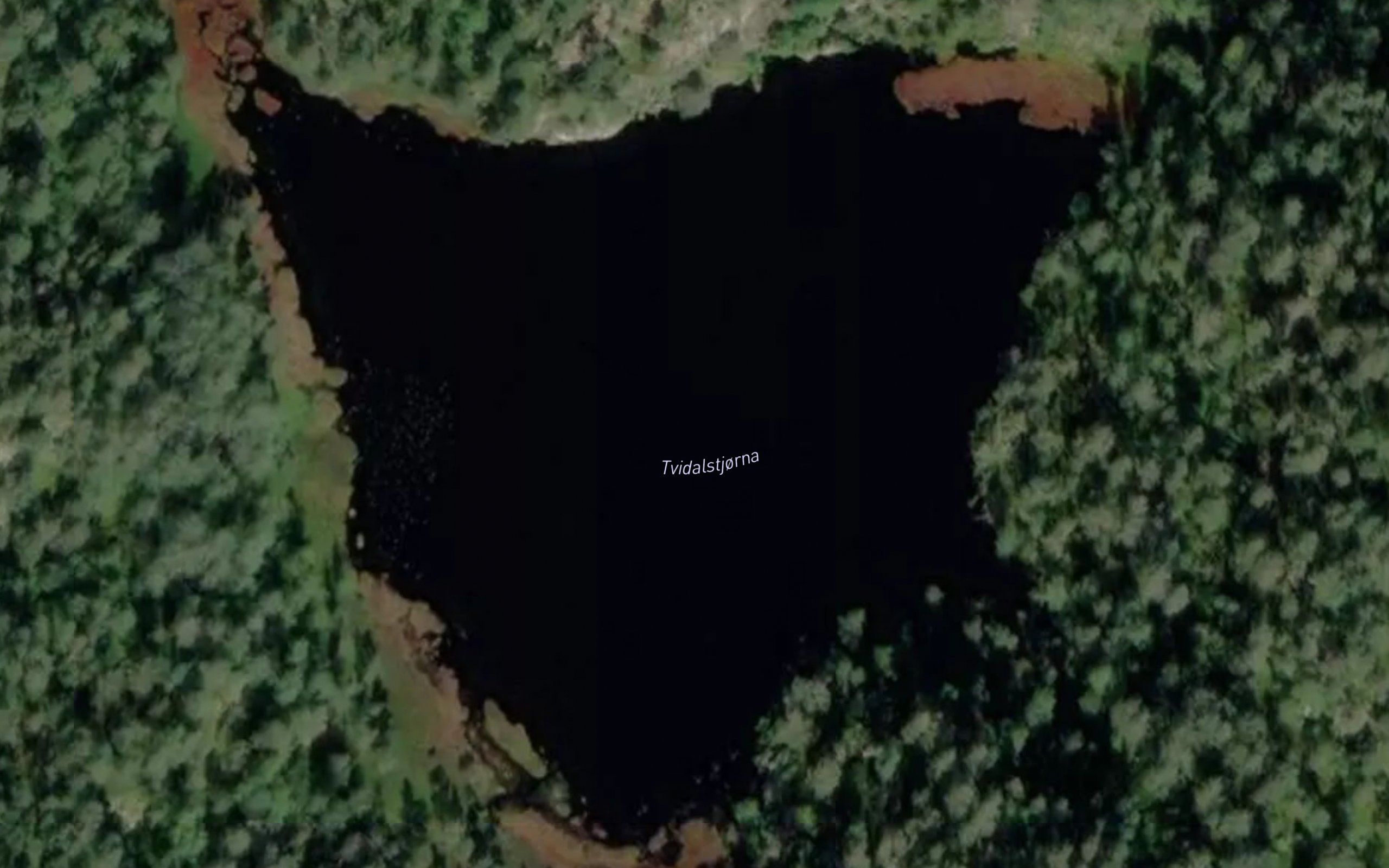 Tvidalstjorna