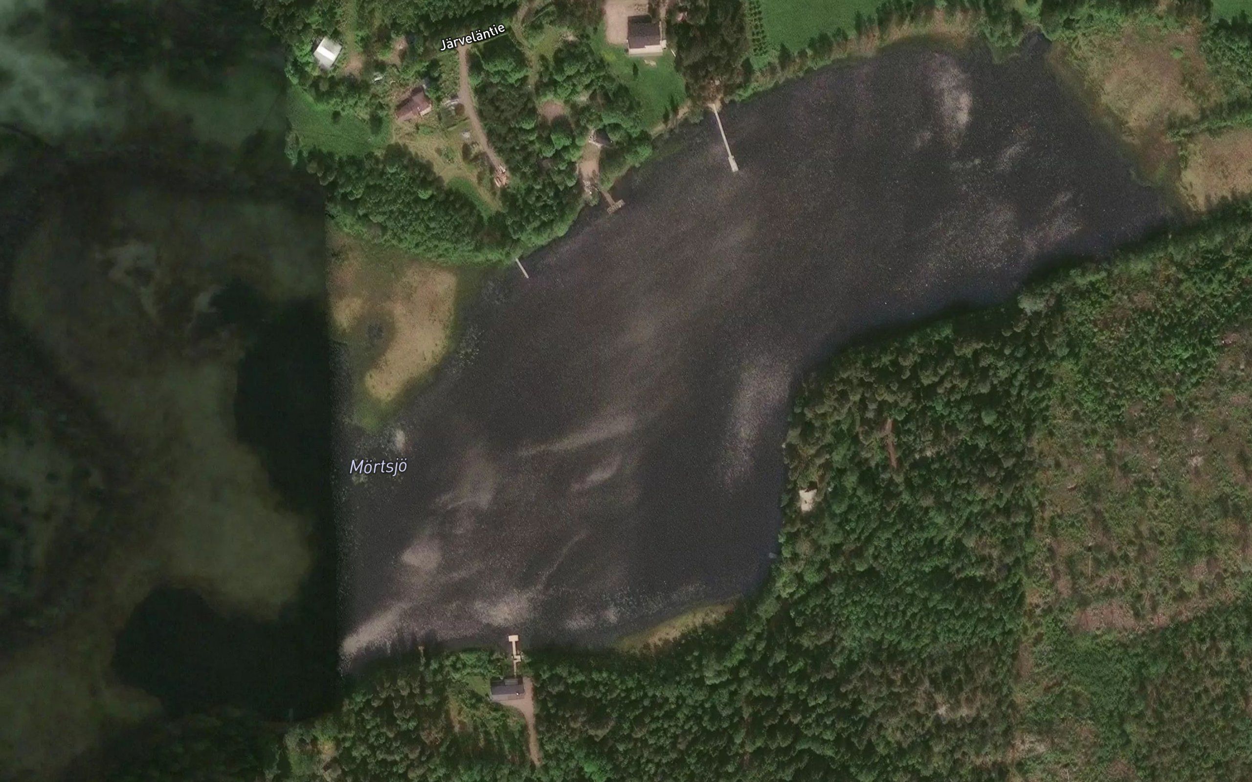 Mortsjo