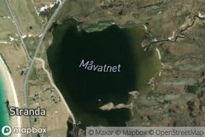 Mavatnet