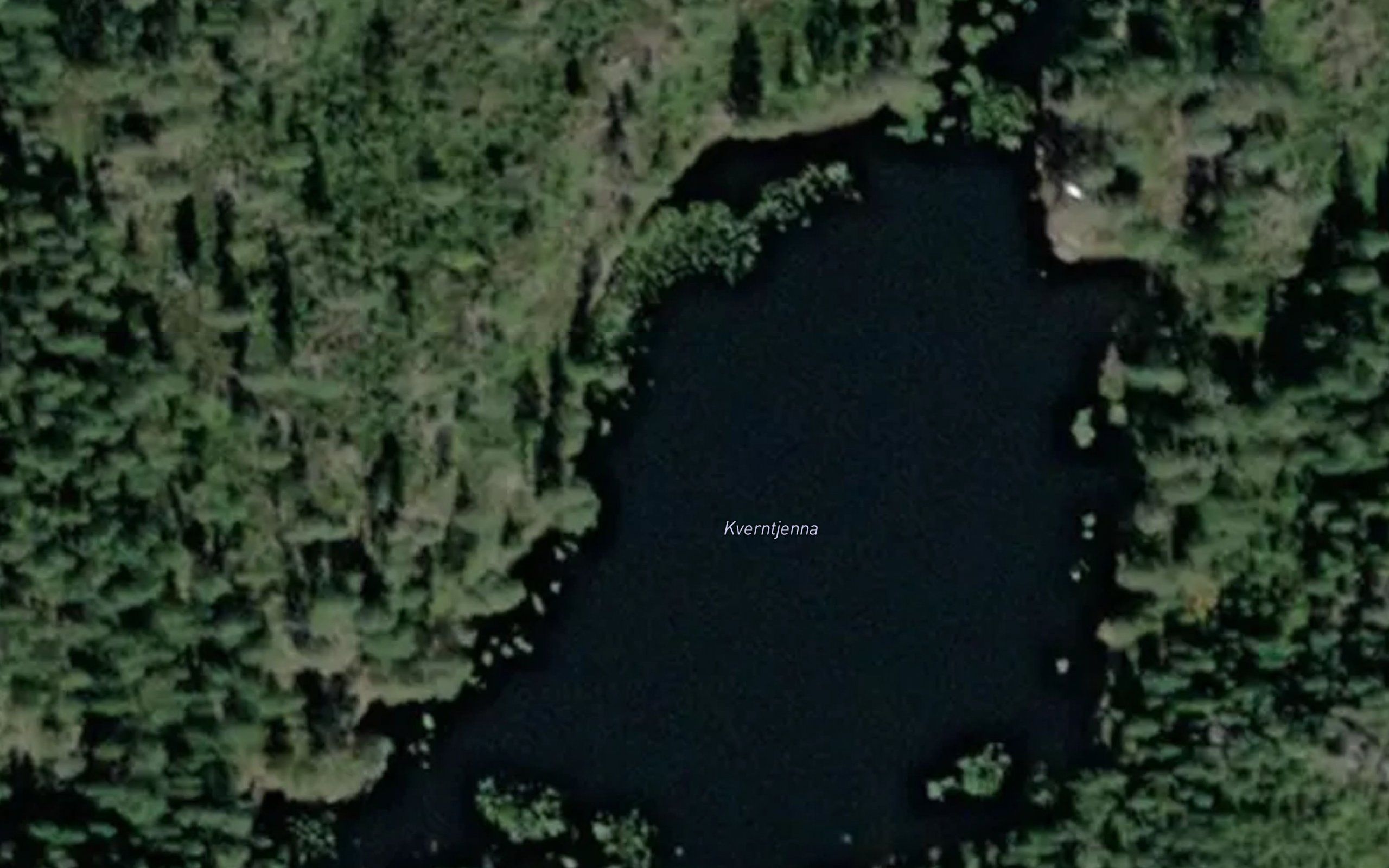 Kverntjerna
