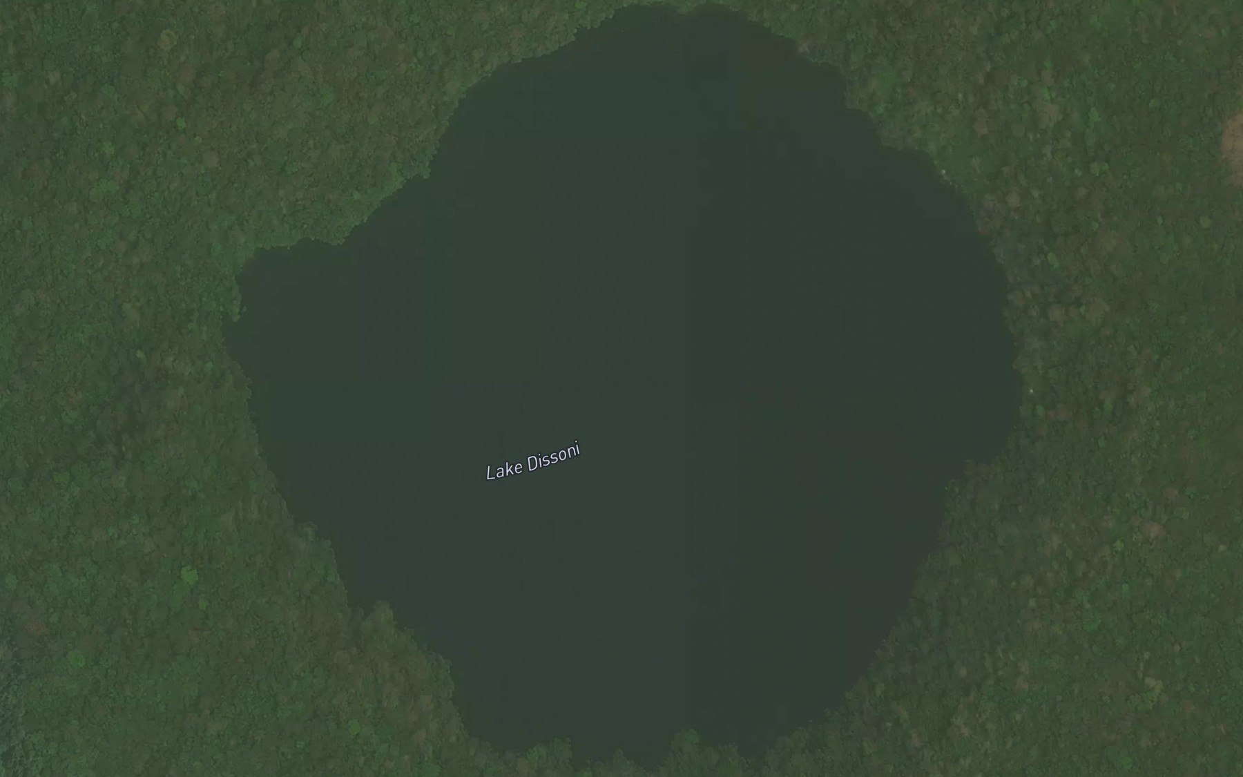 Satellite map of the Lake Dissoni