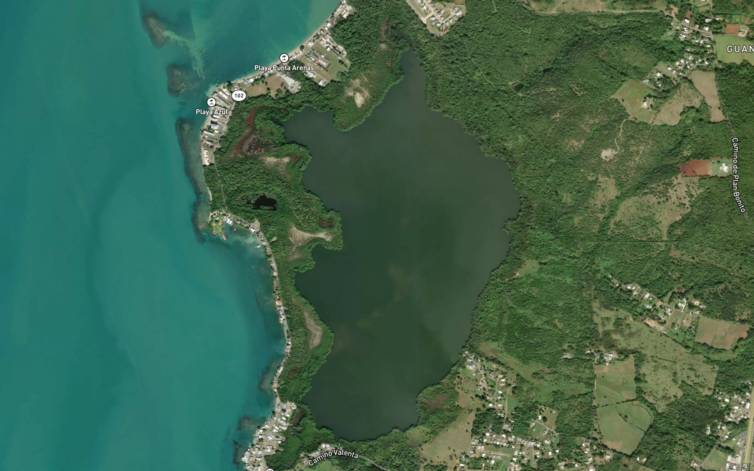 Laguna Joyuda