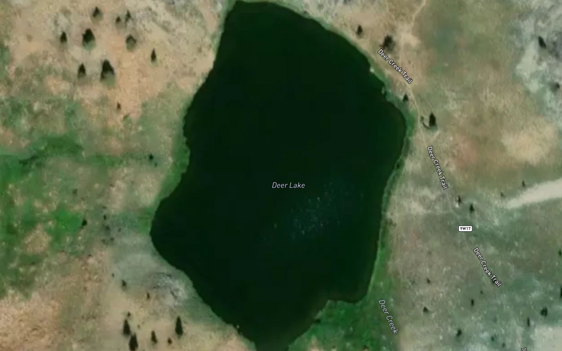 Satellite map of the Deer Lake