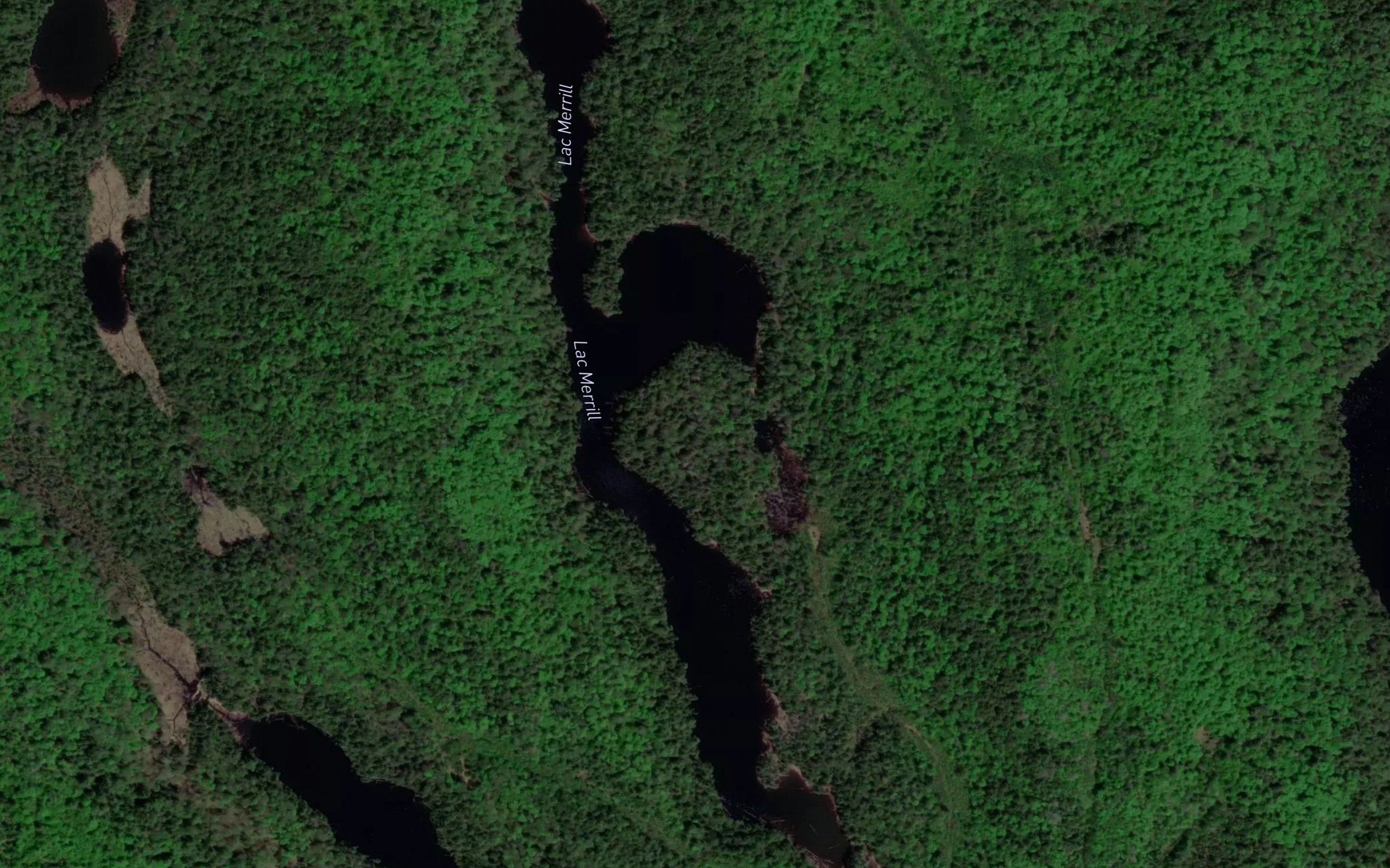 Lac Merrill