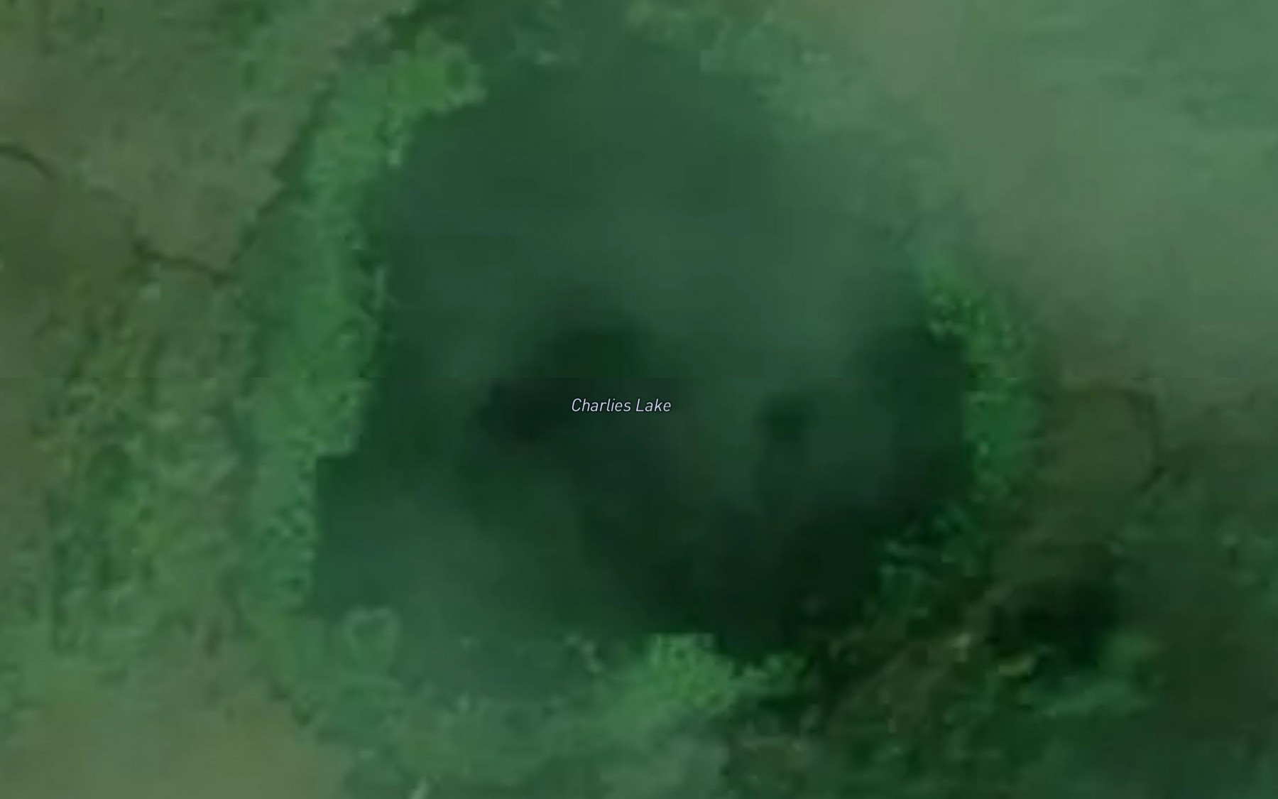 Satellite map of the Charlies Lake
