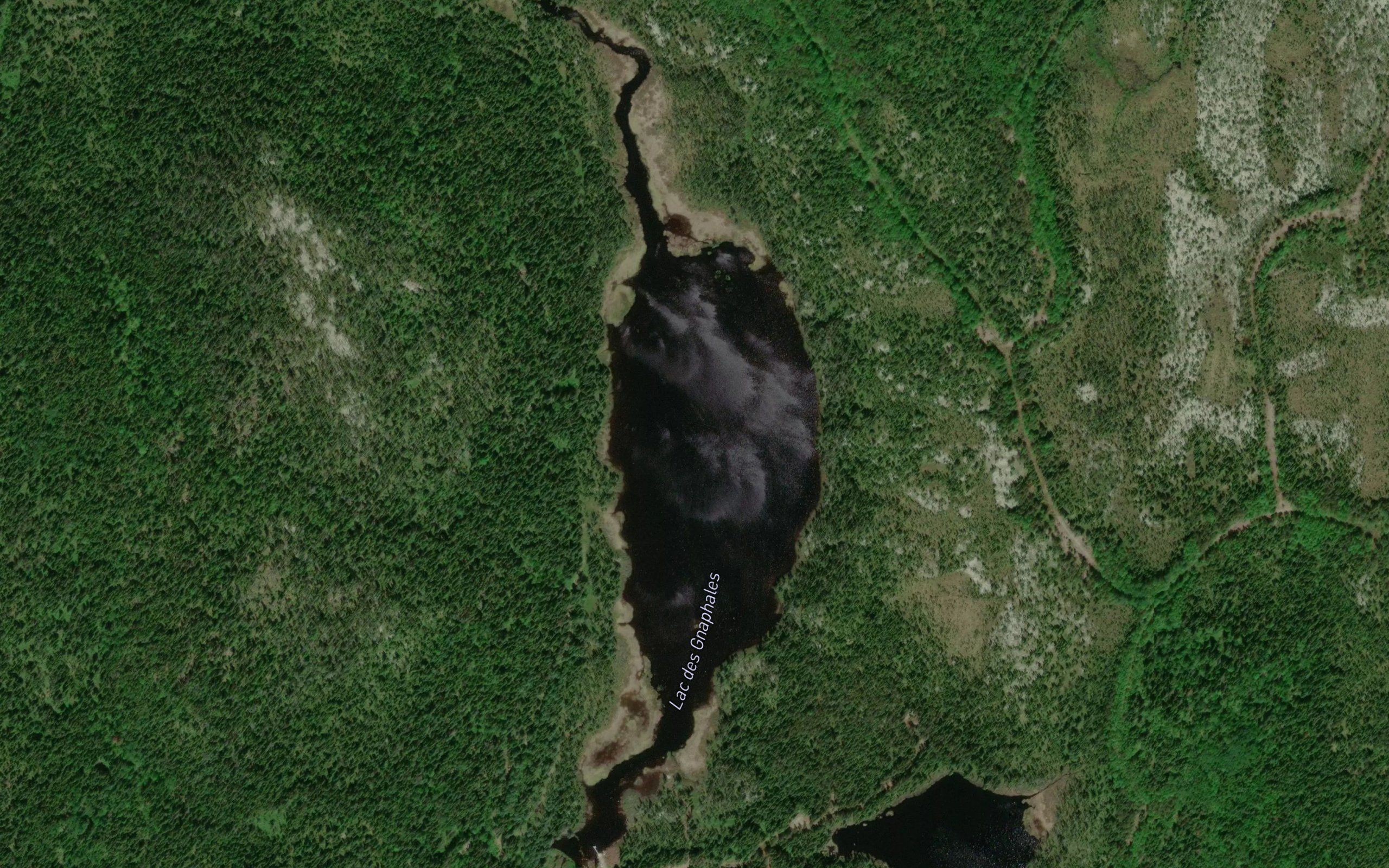 Lac des Gnaphales